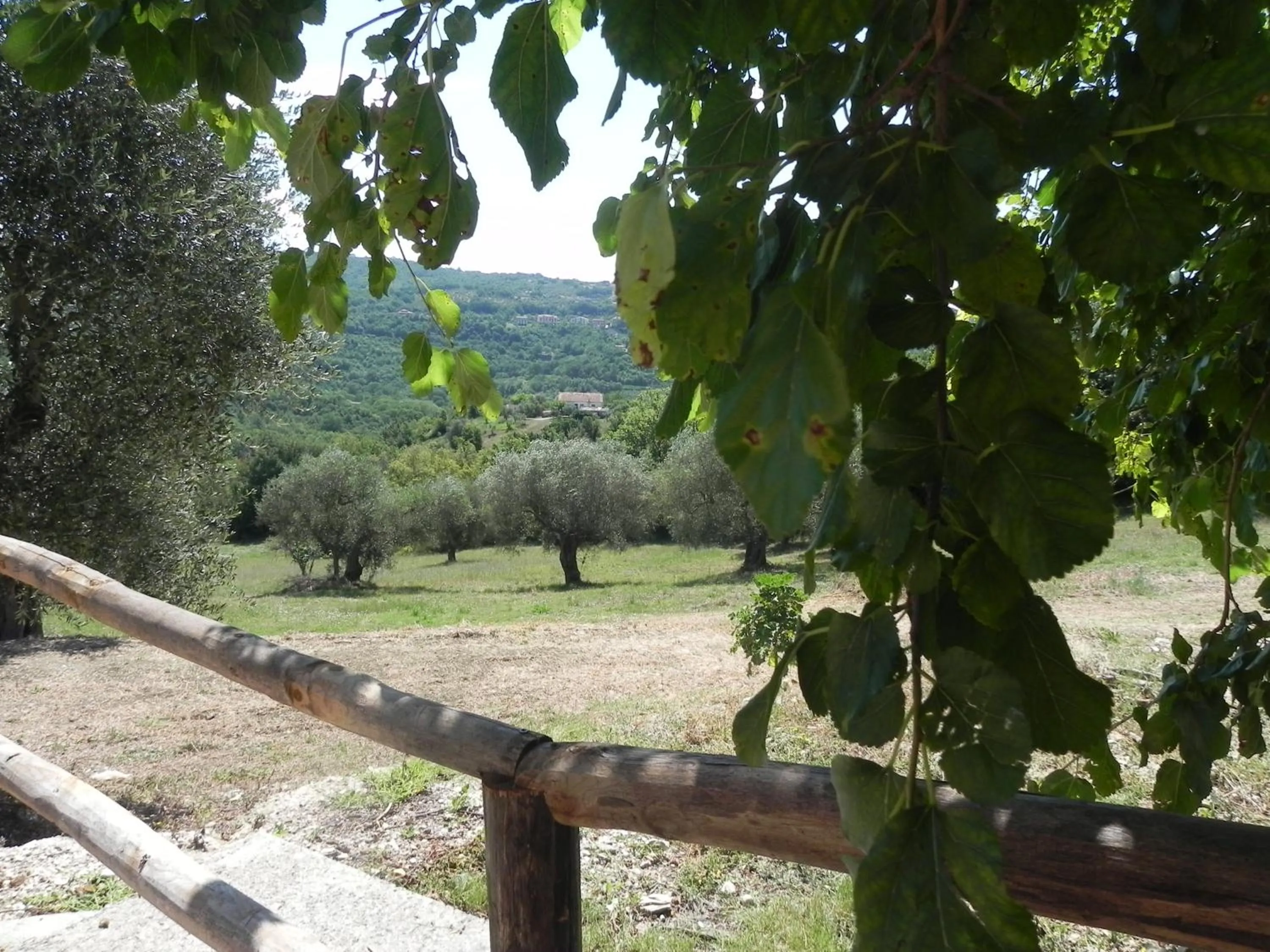 Activities in Agriturismo B&B Il Rifugio di Nino