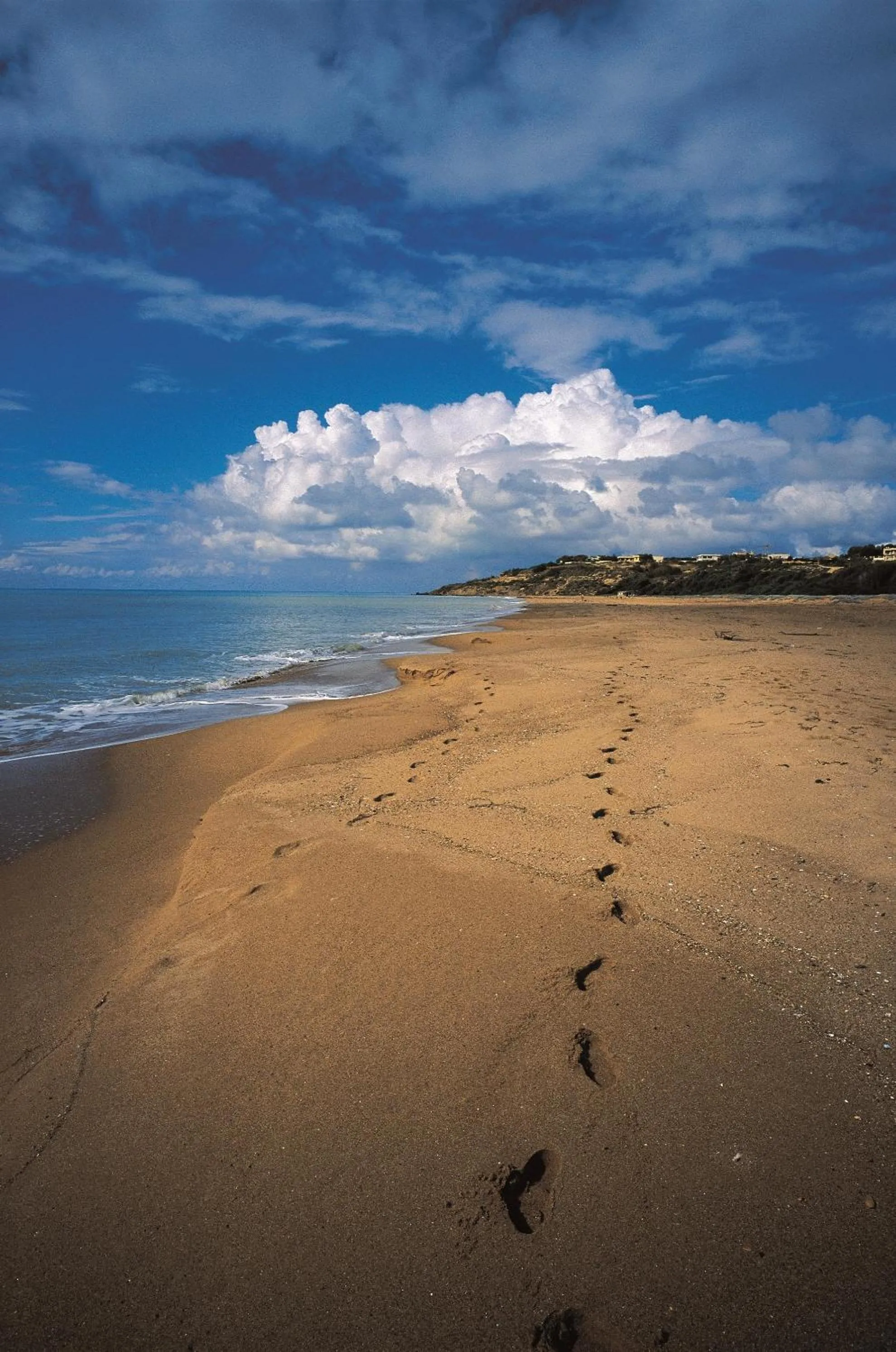 Beach in Casa Marinella