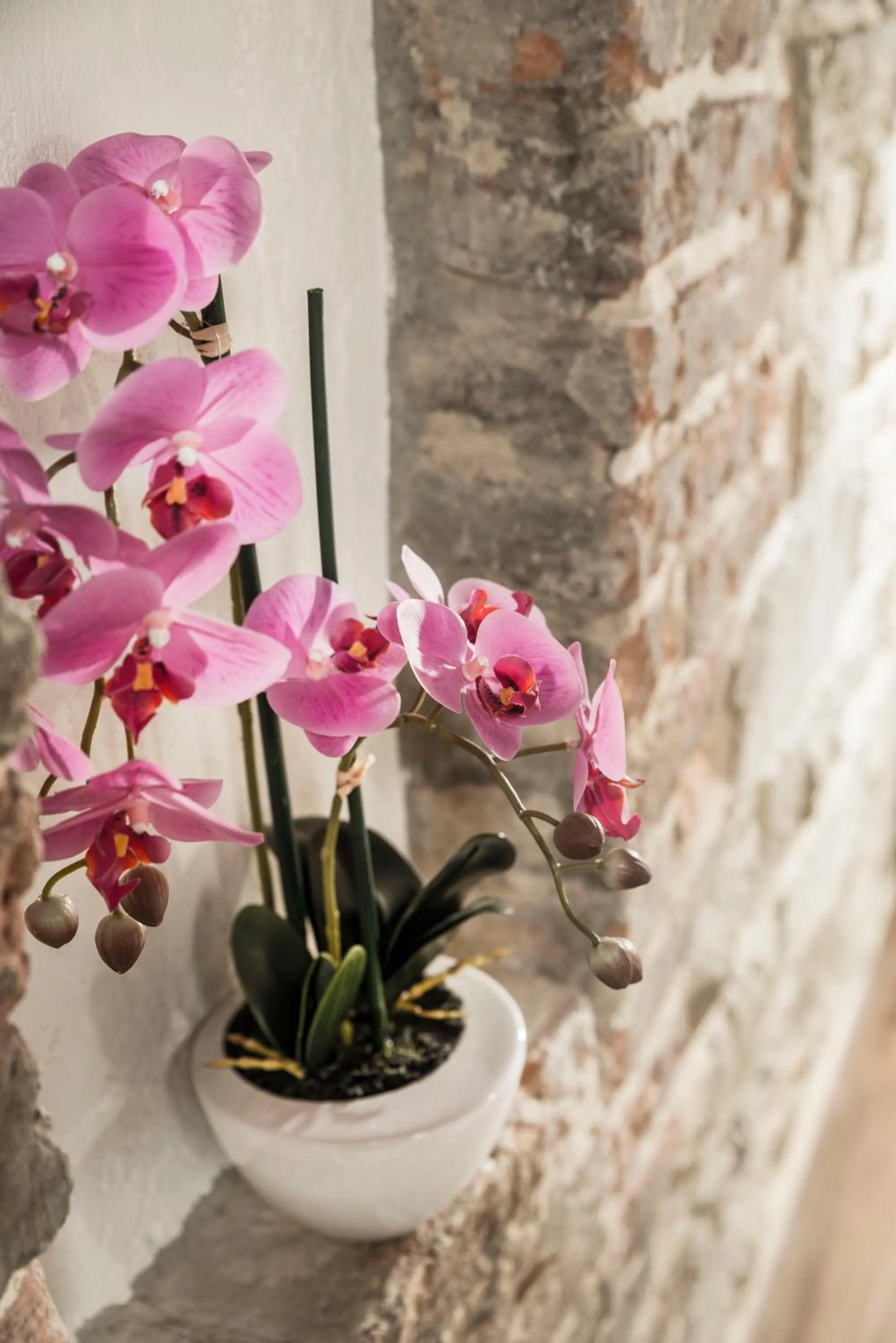 Residenza Delle Arti