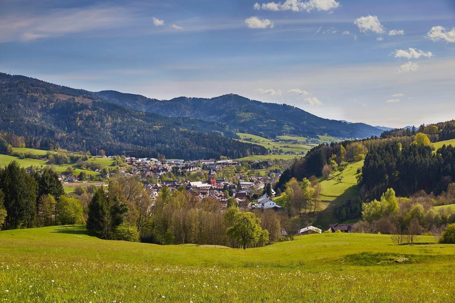 Staff in ElzLand Hotel 9 Linden