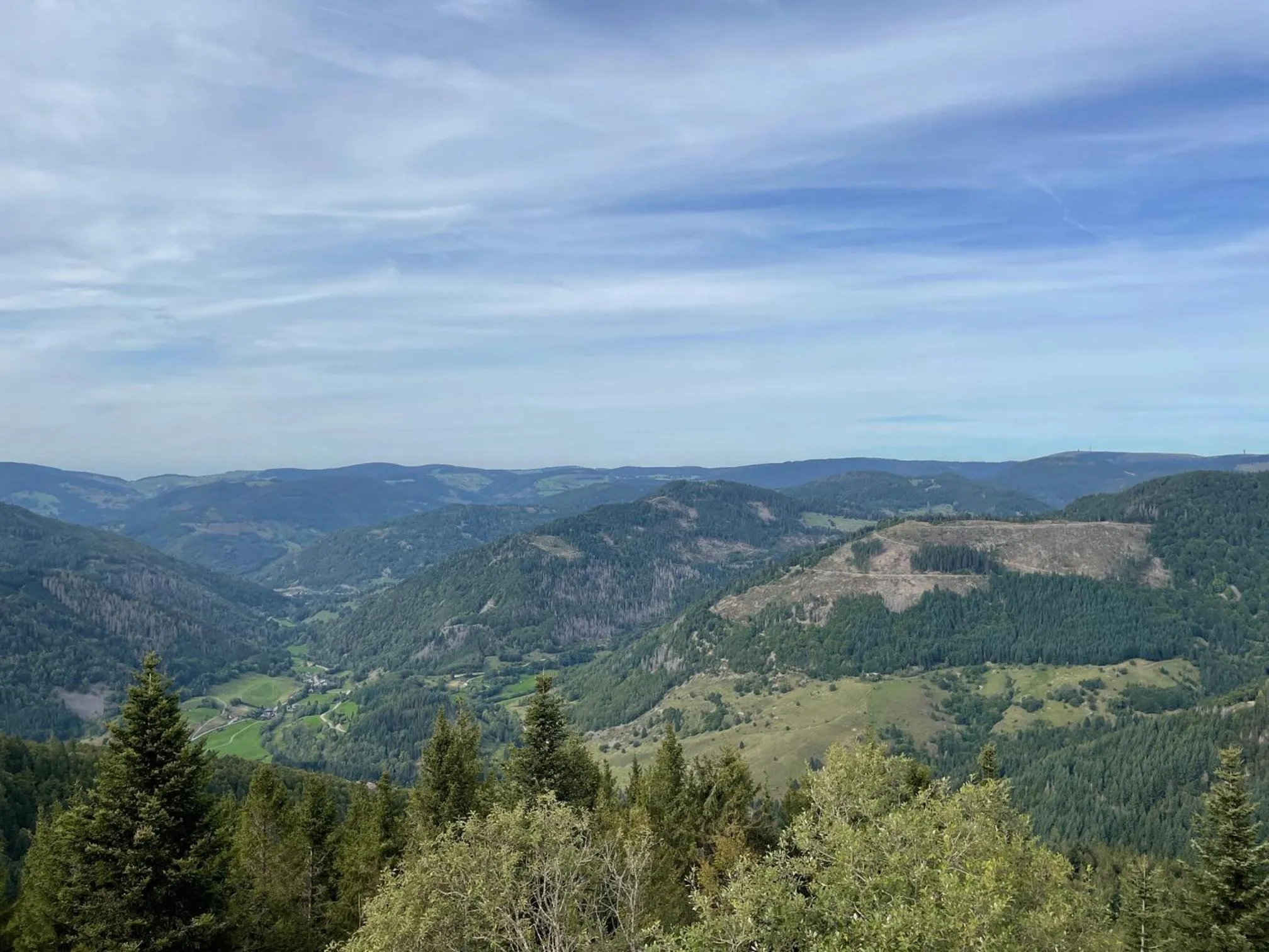 Natural landscape in Hotel dasZimmermann