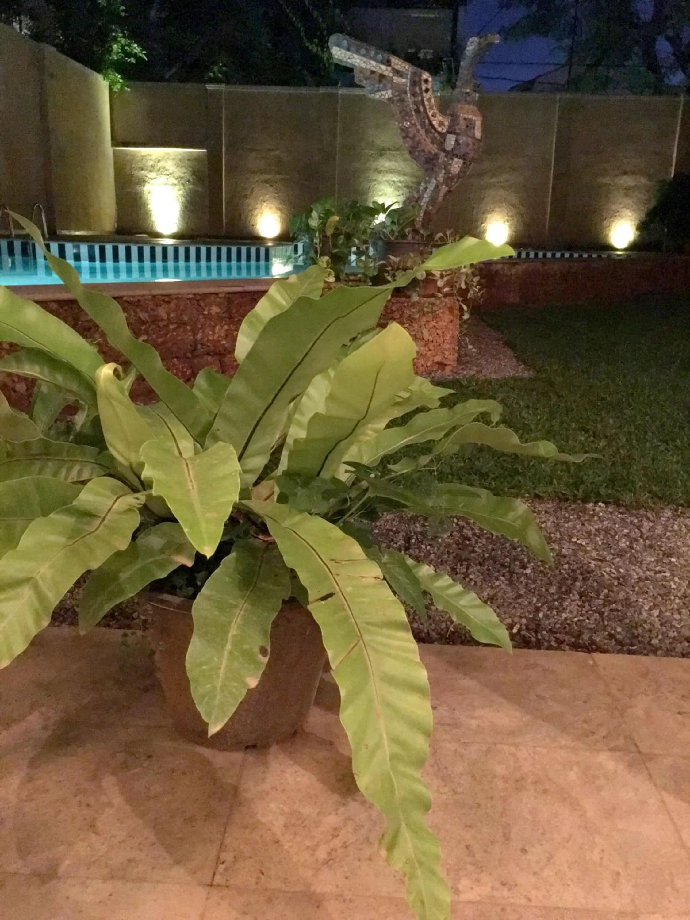 Garden in Artisan Villa