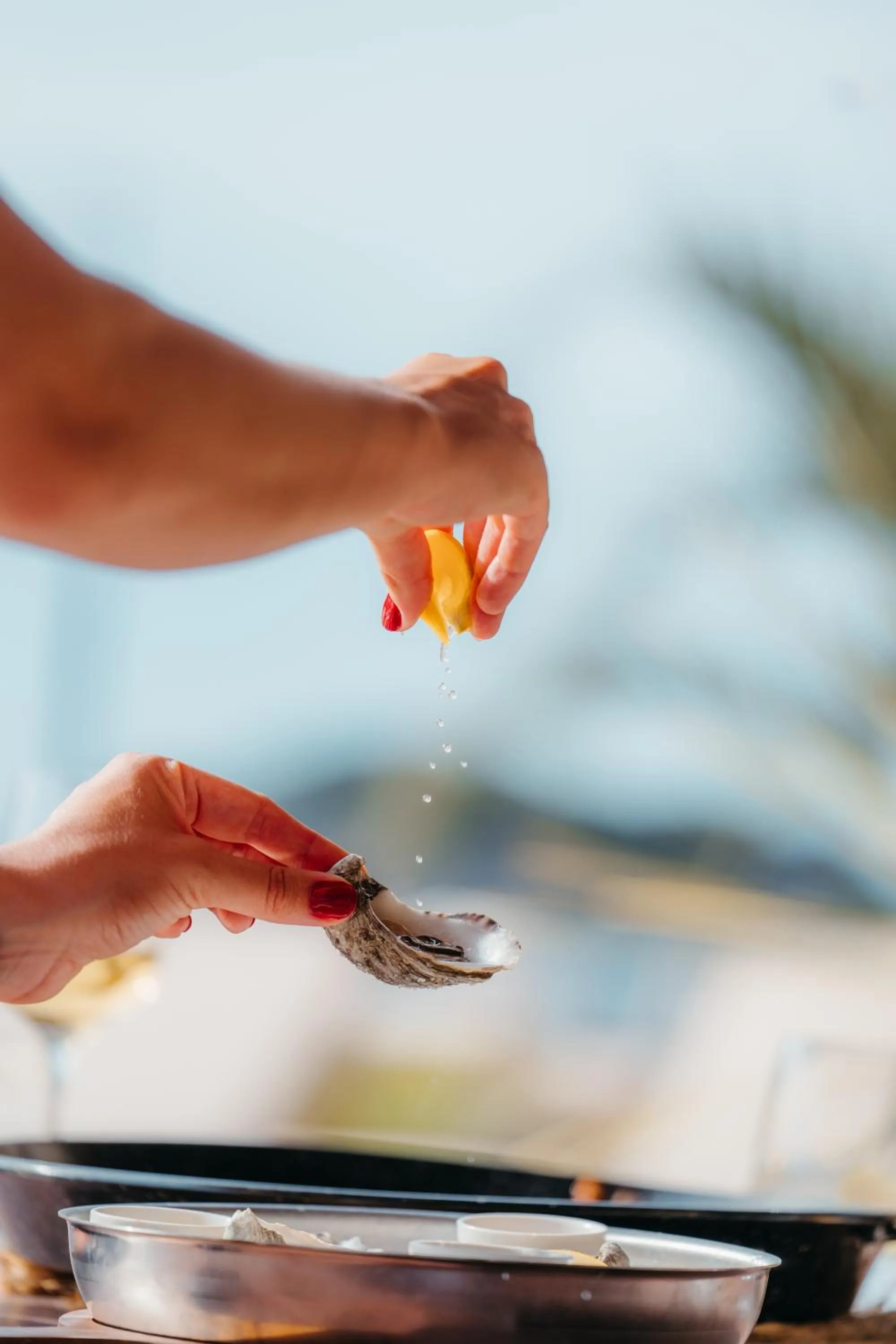 Restaurant/places to eat in Cala San Miguel Ibiza Resort, Adults only, Curio Collection by Hilton