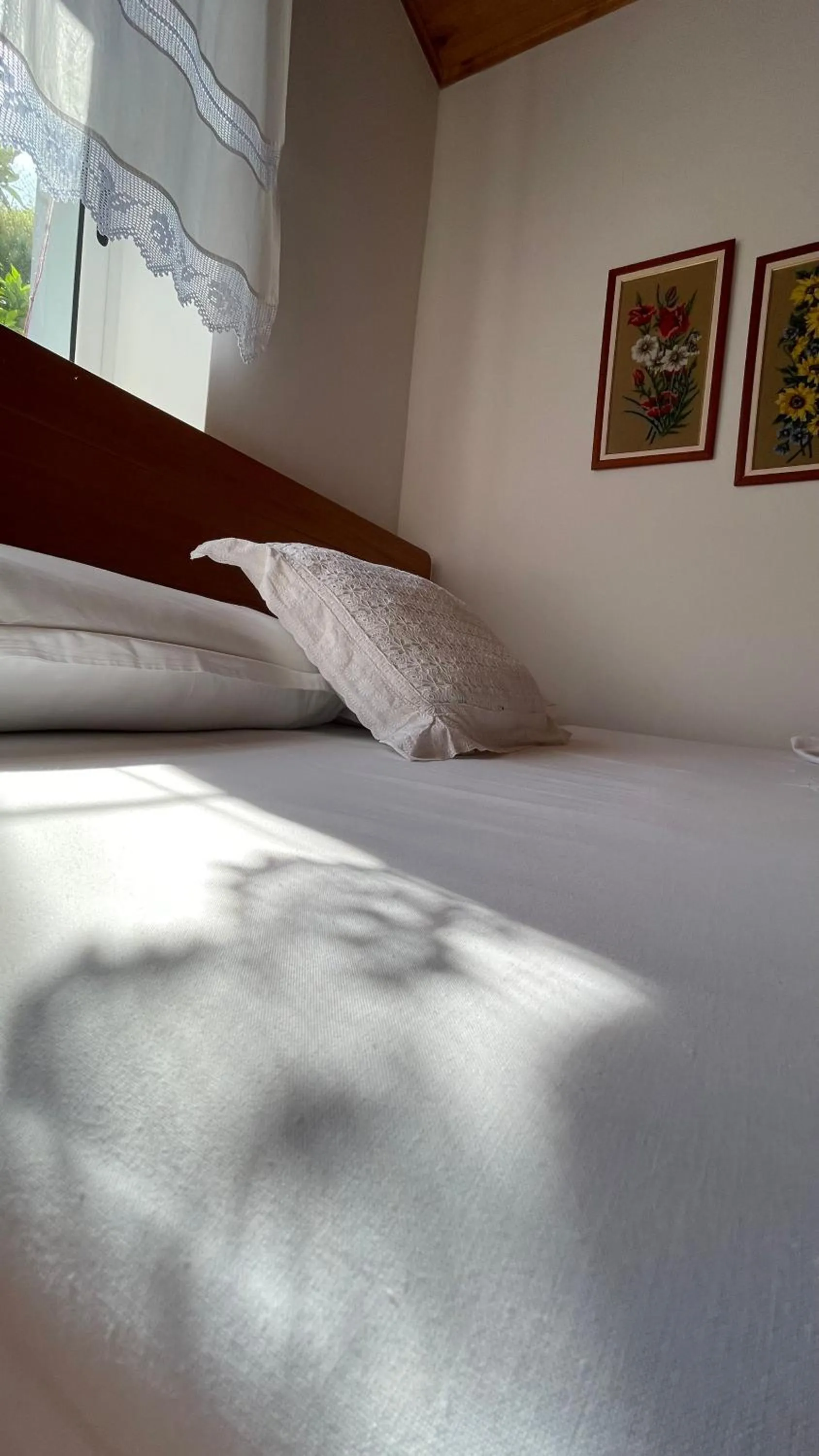Family Room in Ana Rest House Hostel Berat