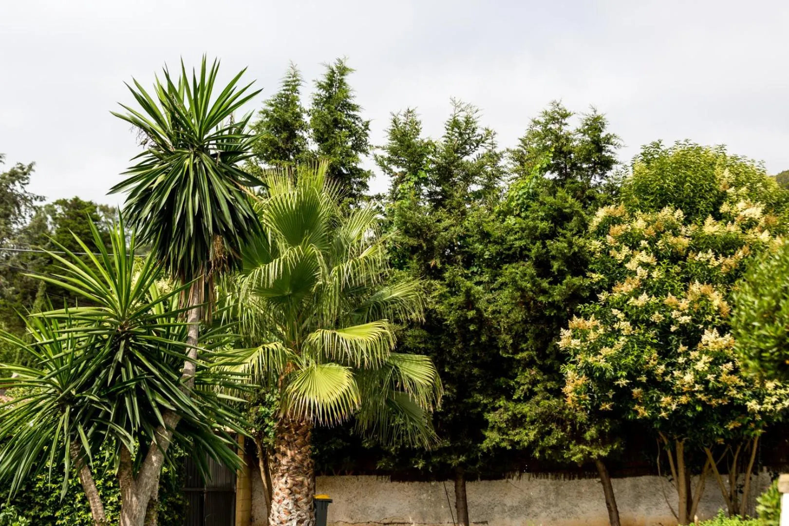 Garden view in Hotel Nómadas