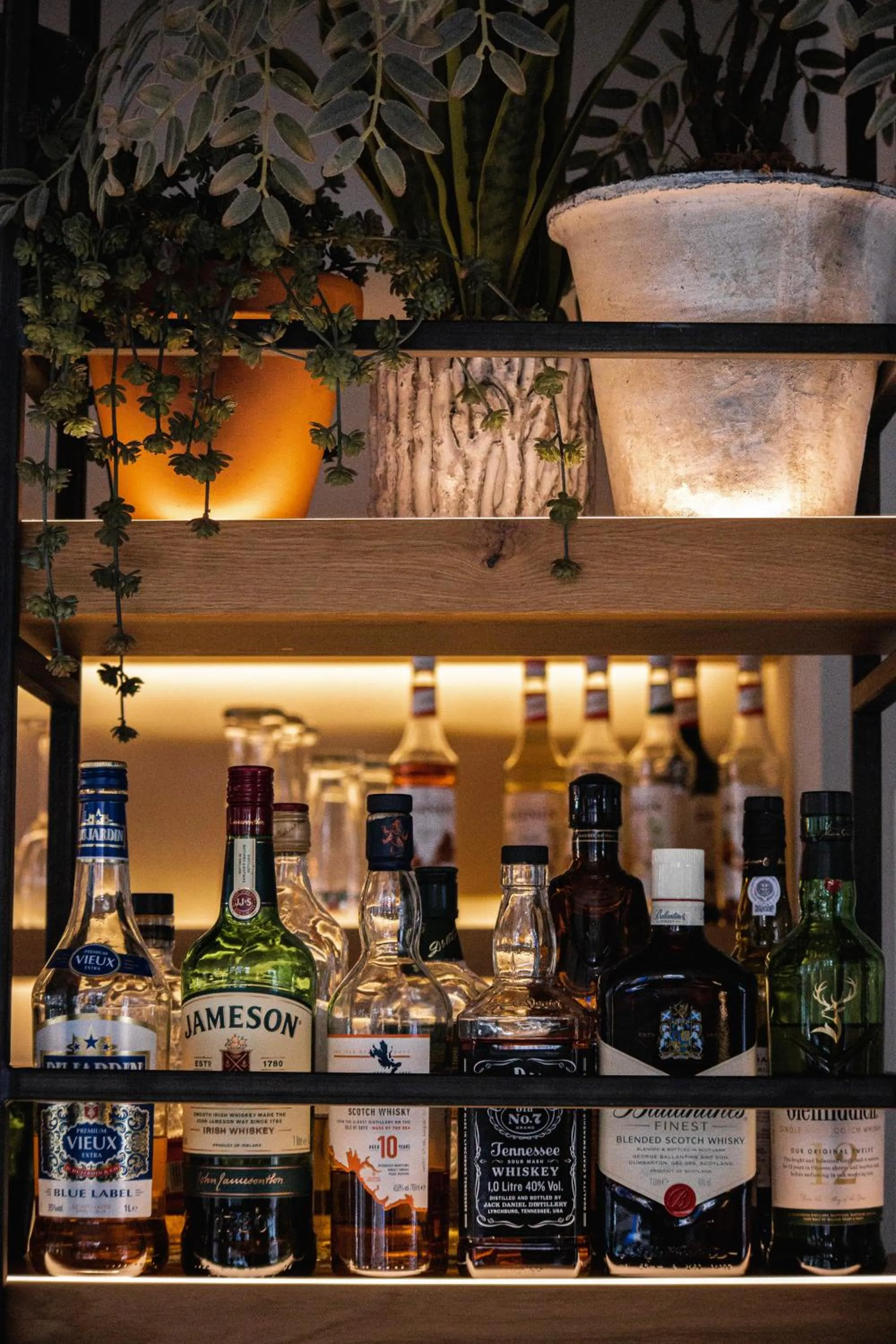 Restaurant/places to eat in Hotel de Koppelpaarden