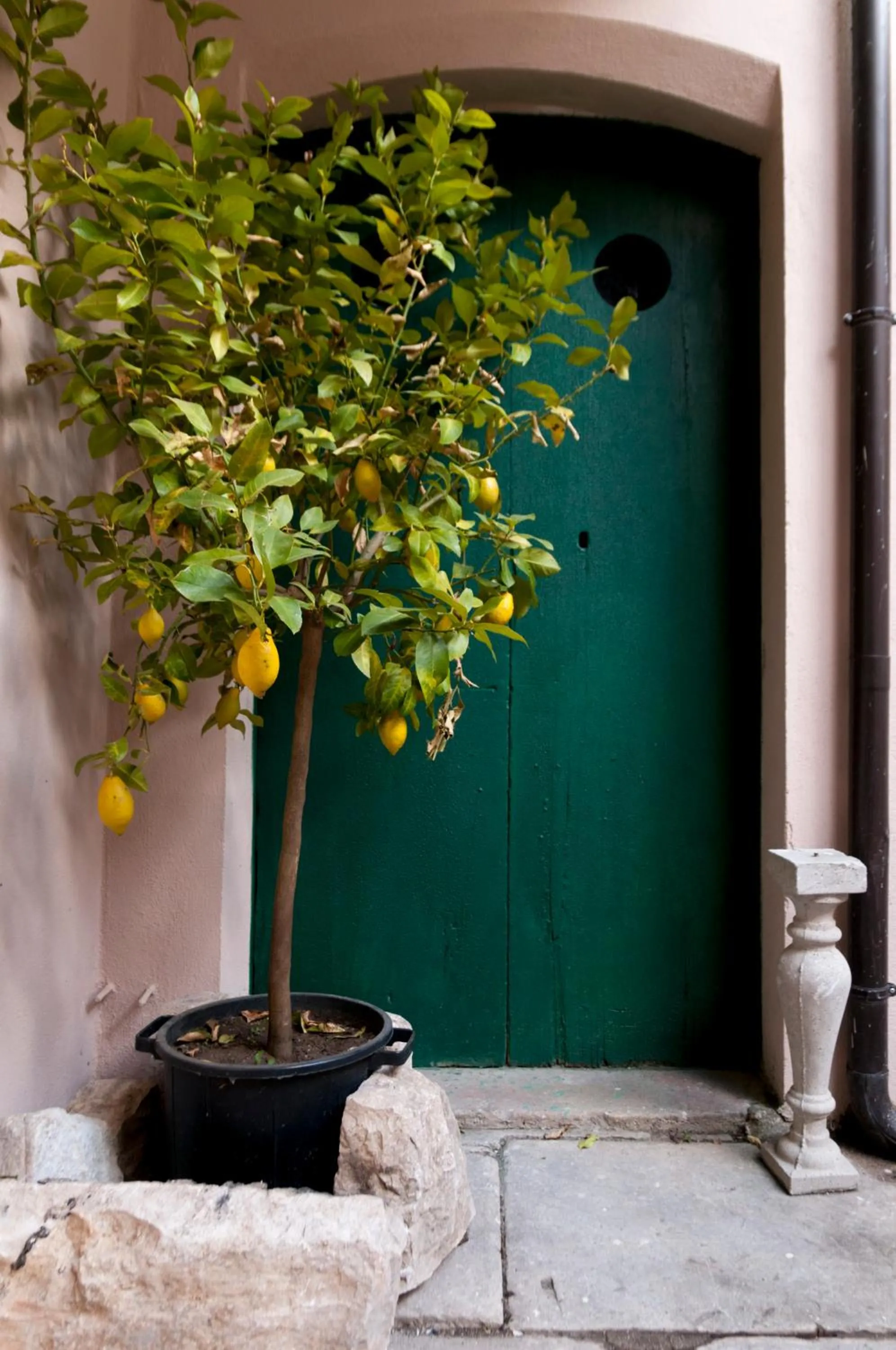 Boutique Hotel Palazzo Corso Umberto