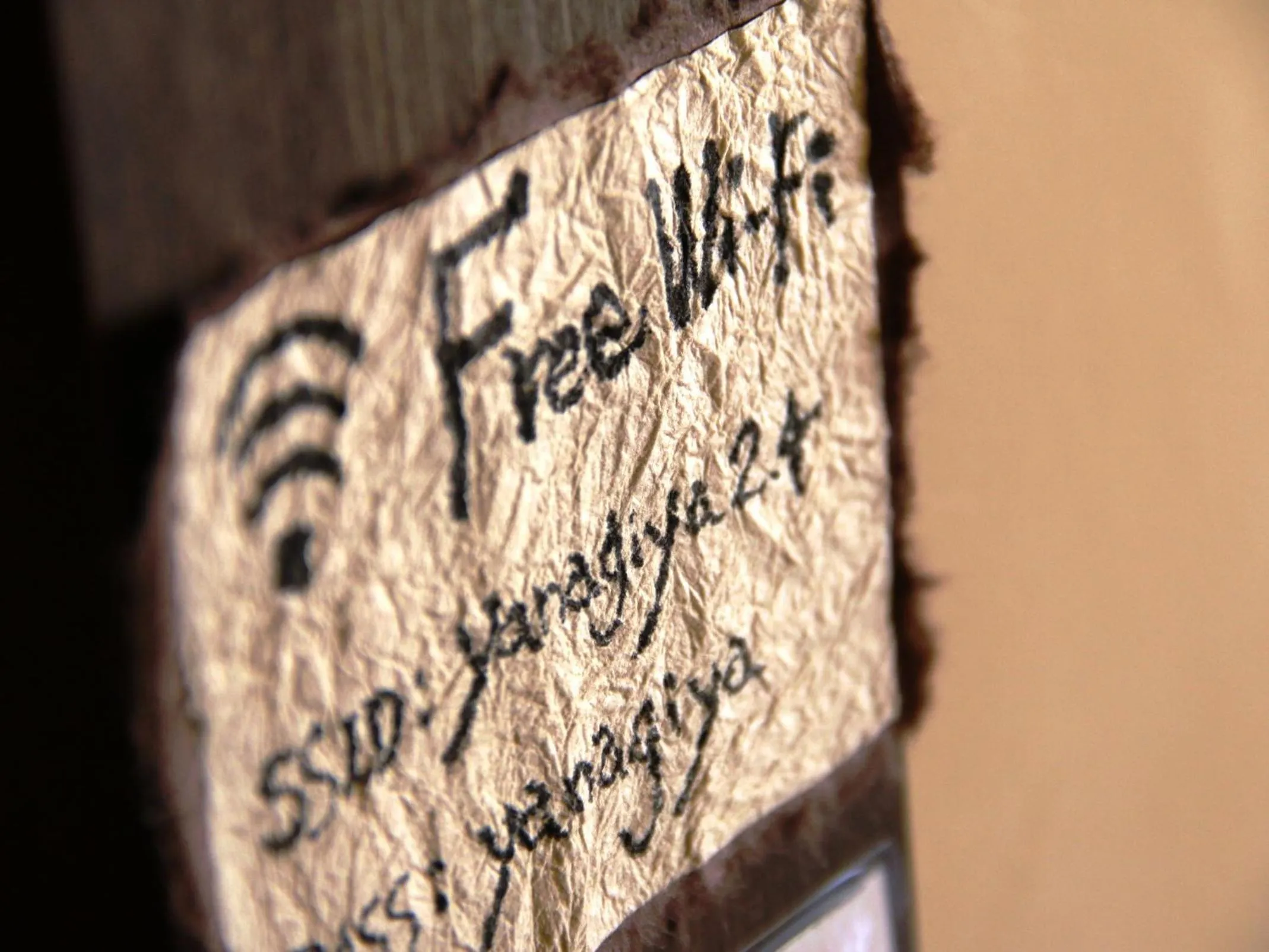 Area and facilities in Iwamura Guest House Yanagiya