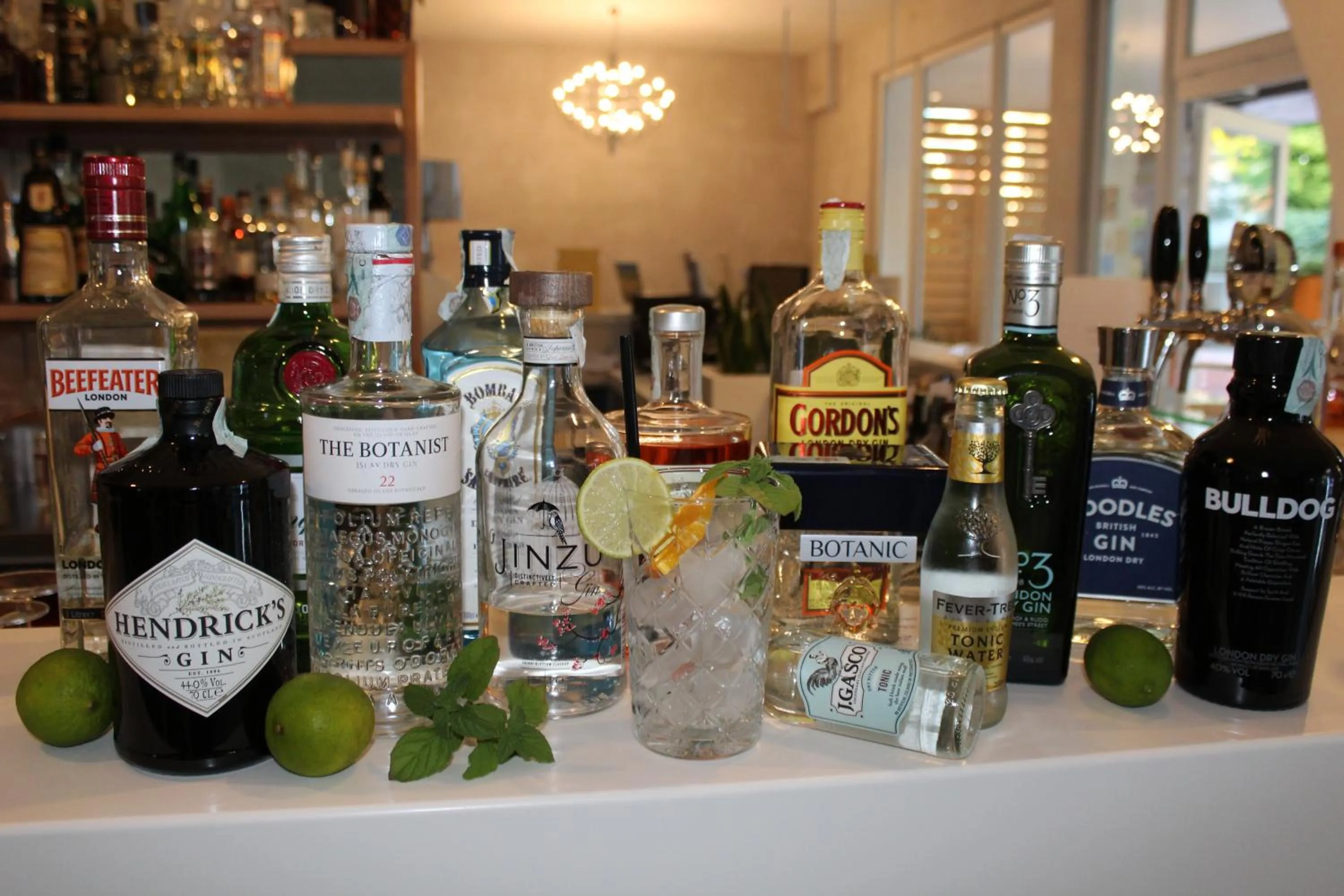 Evening entertainment in Hotel Alex