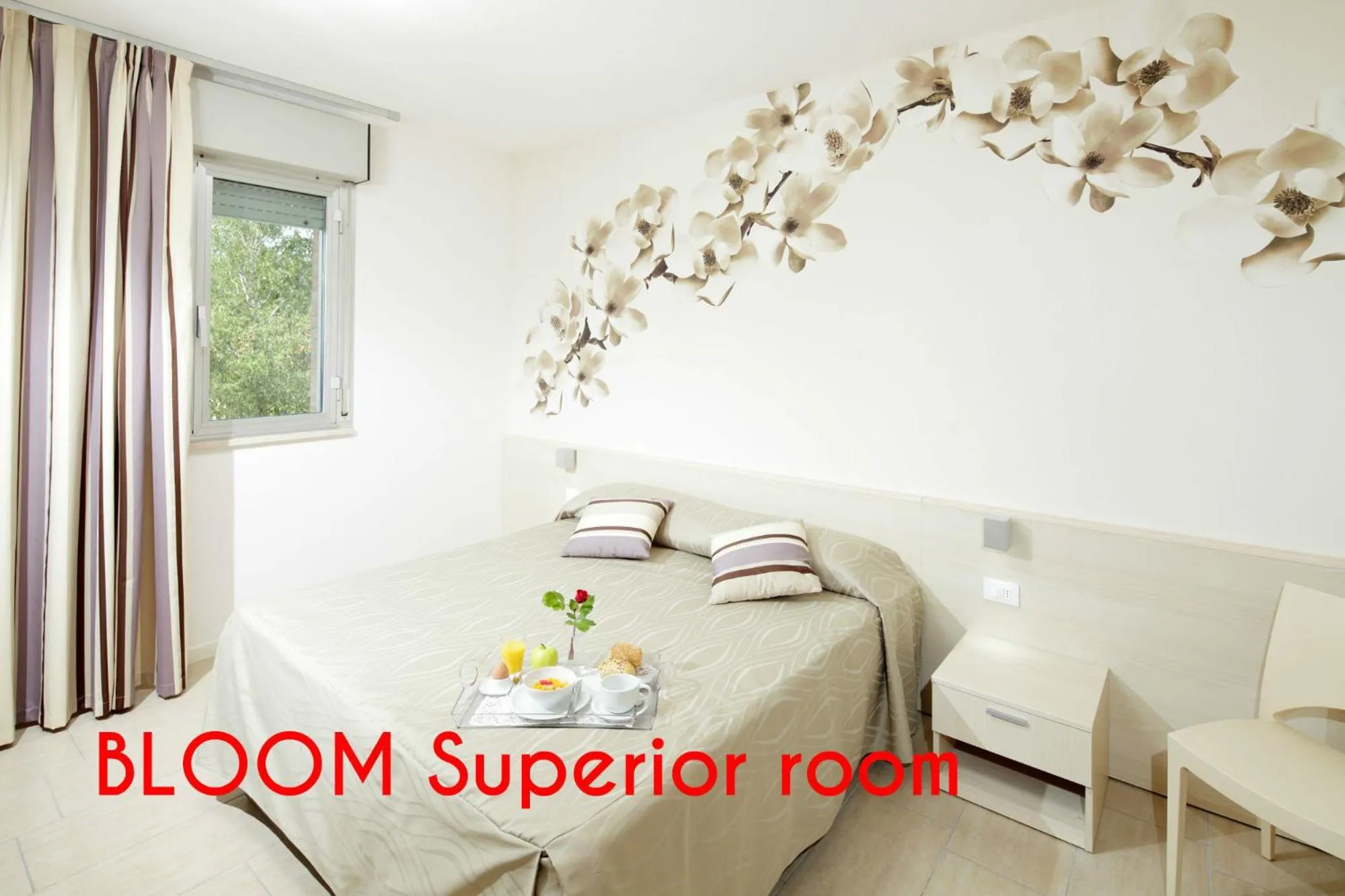 Photo of the whole room in Hotel Alex