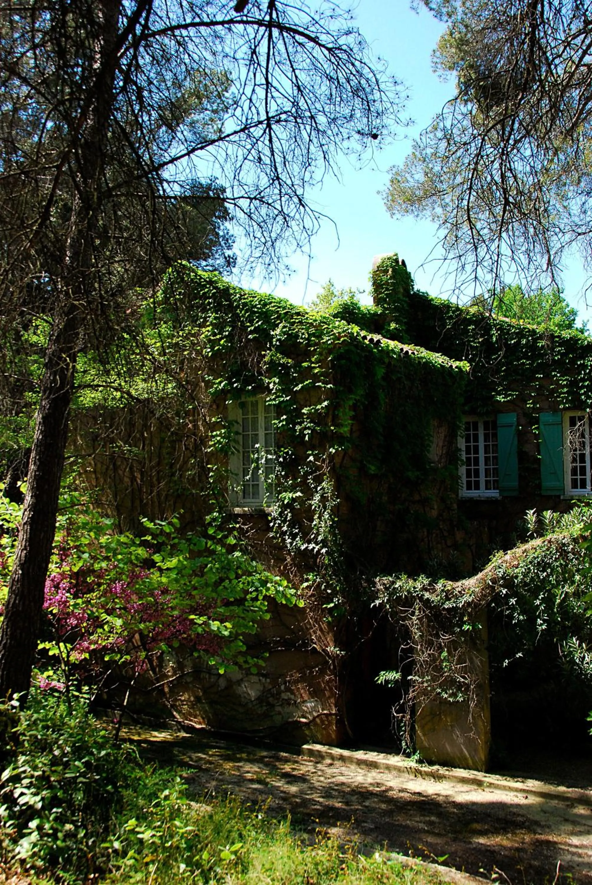 Garden in Hotel Les Mazets Des Roches
