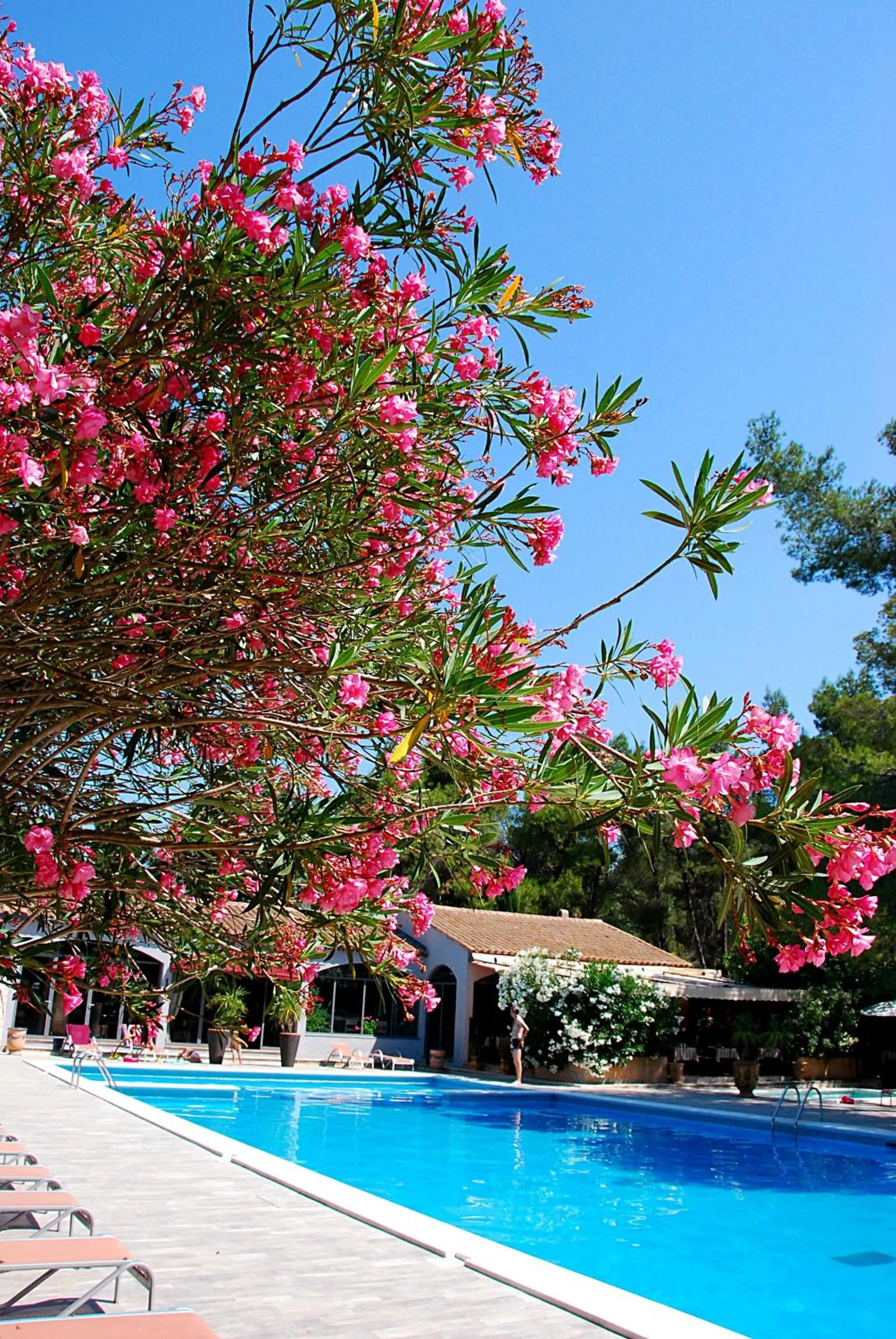Patio in Hotel Les Mazets Des Roches