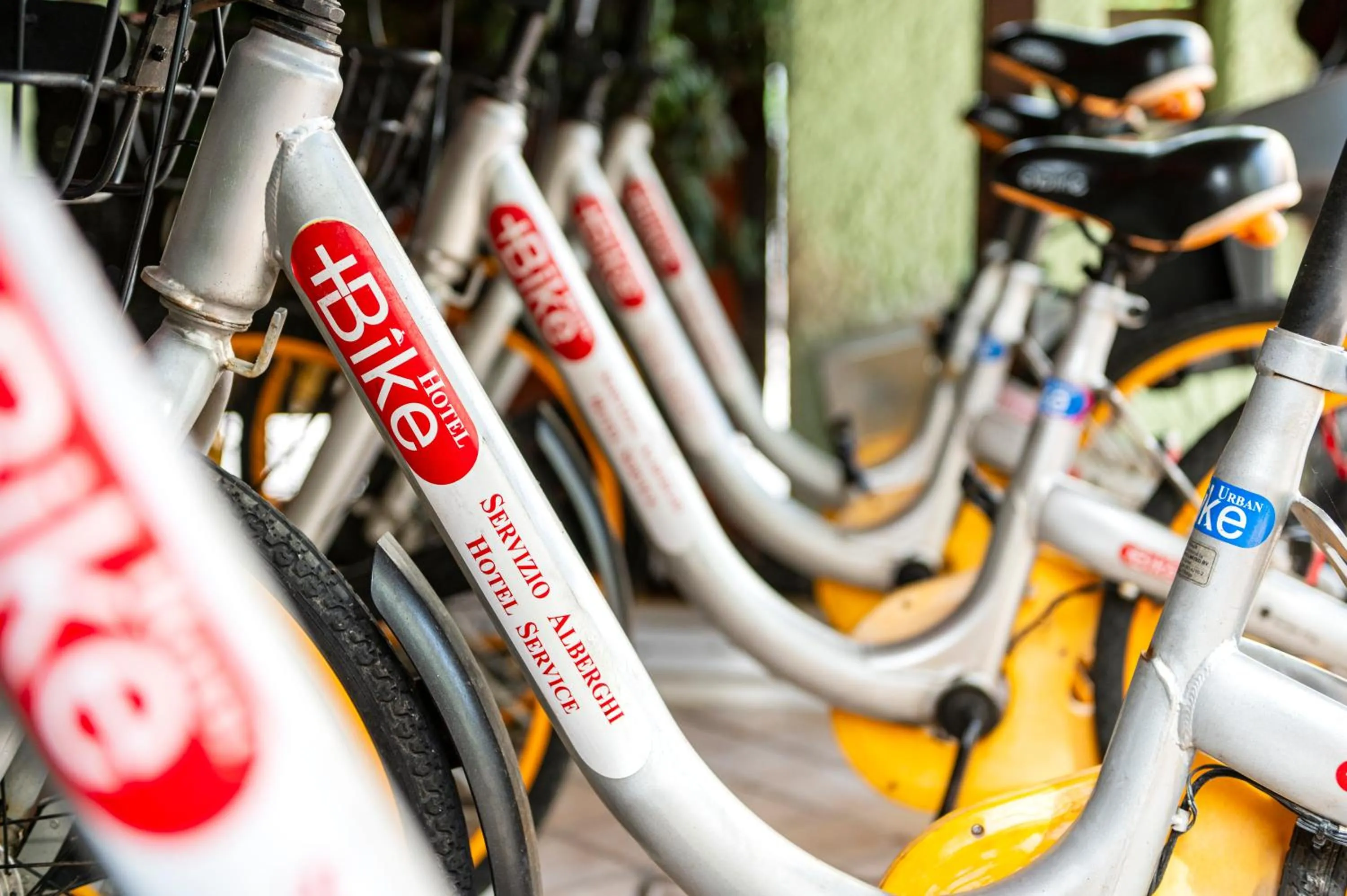 Hotel Nuovo Belvedere