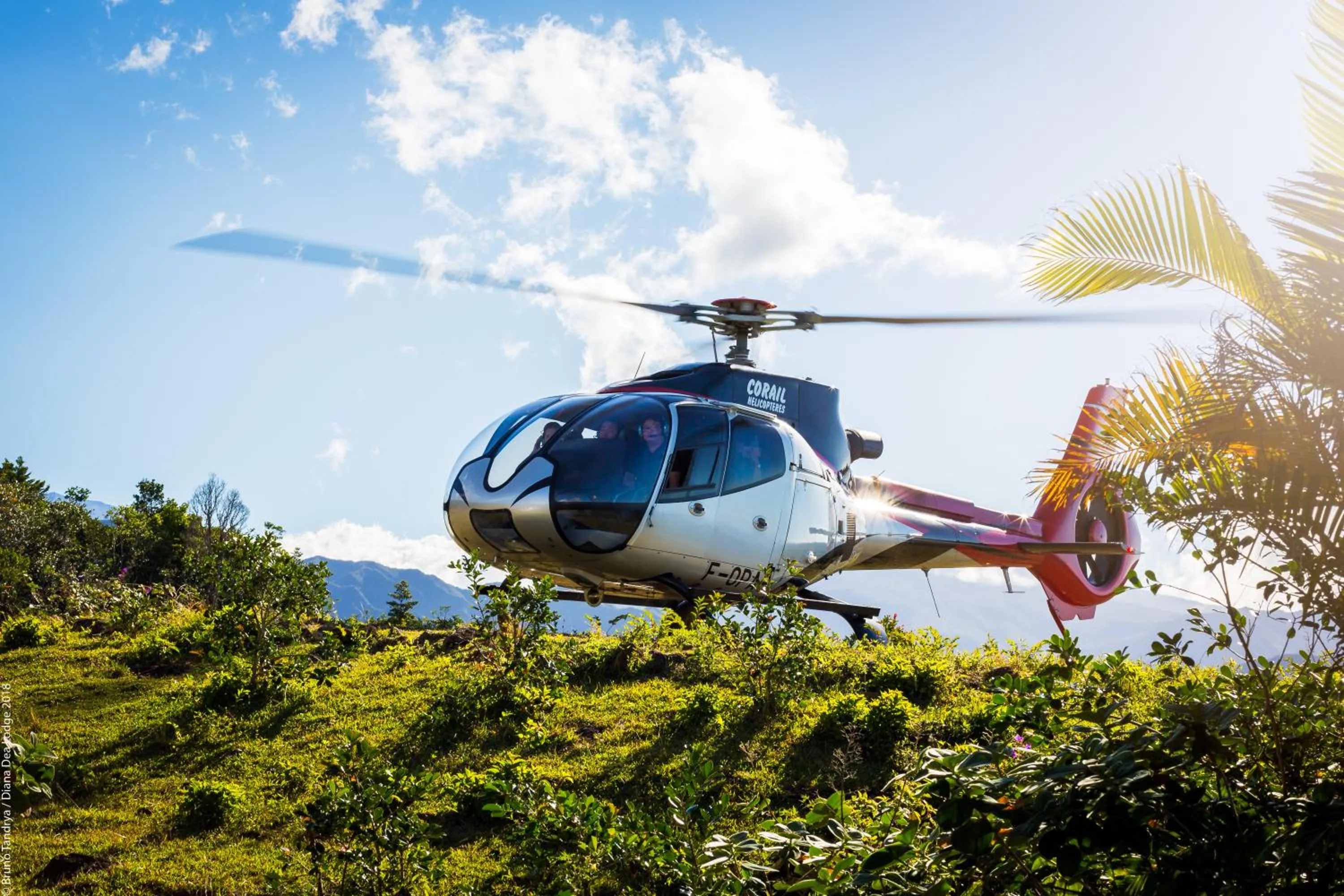 Day in Hôtel Diana Dea Lodge & SPA