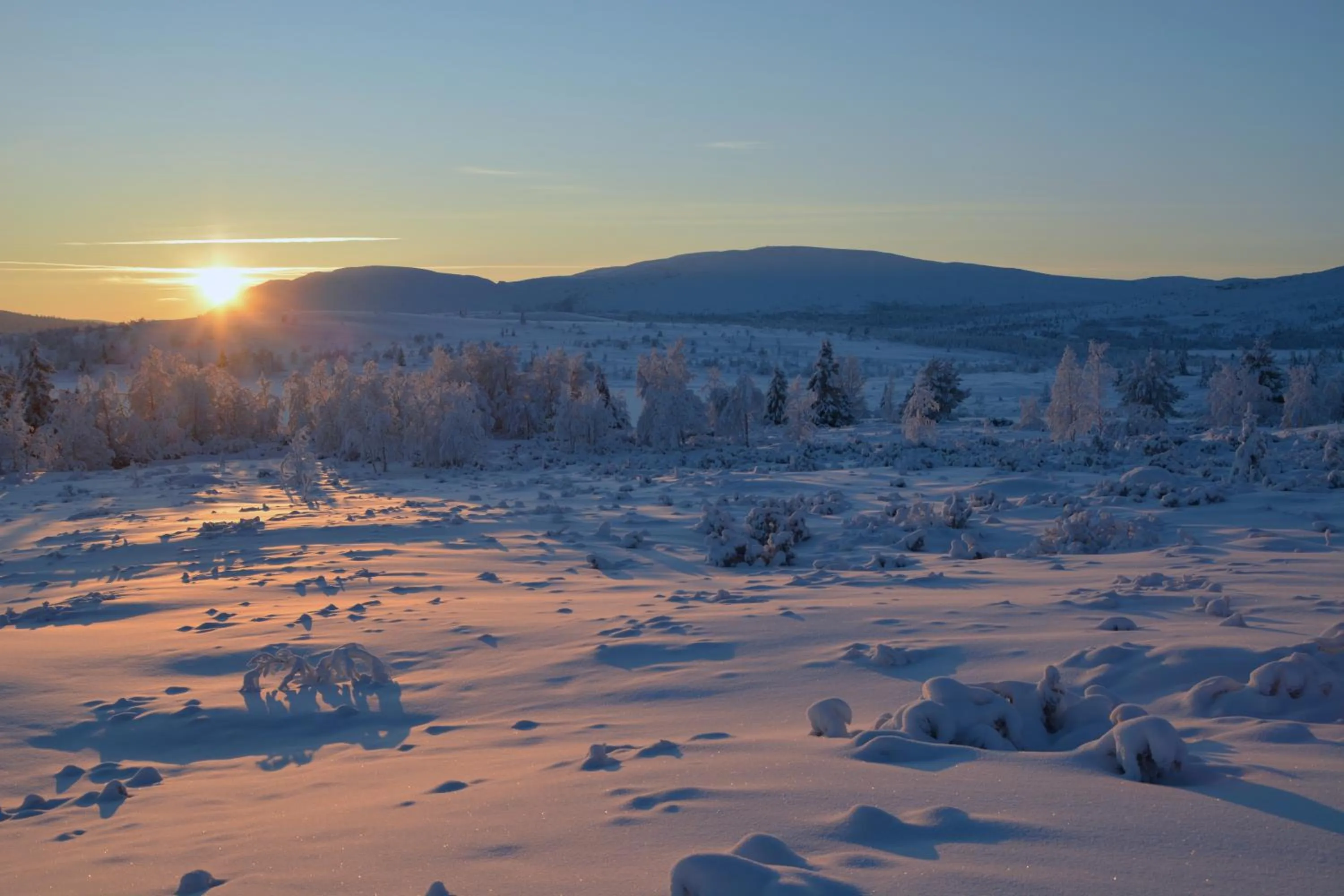 Natural landscape in Spidsbergseter Resort Rondane