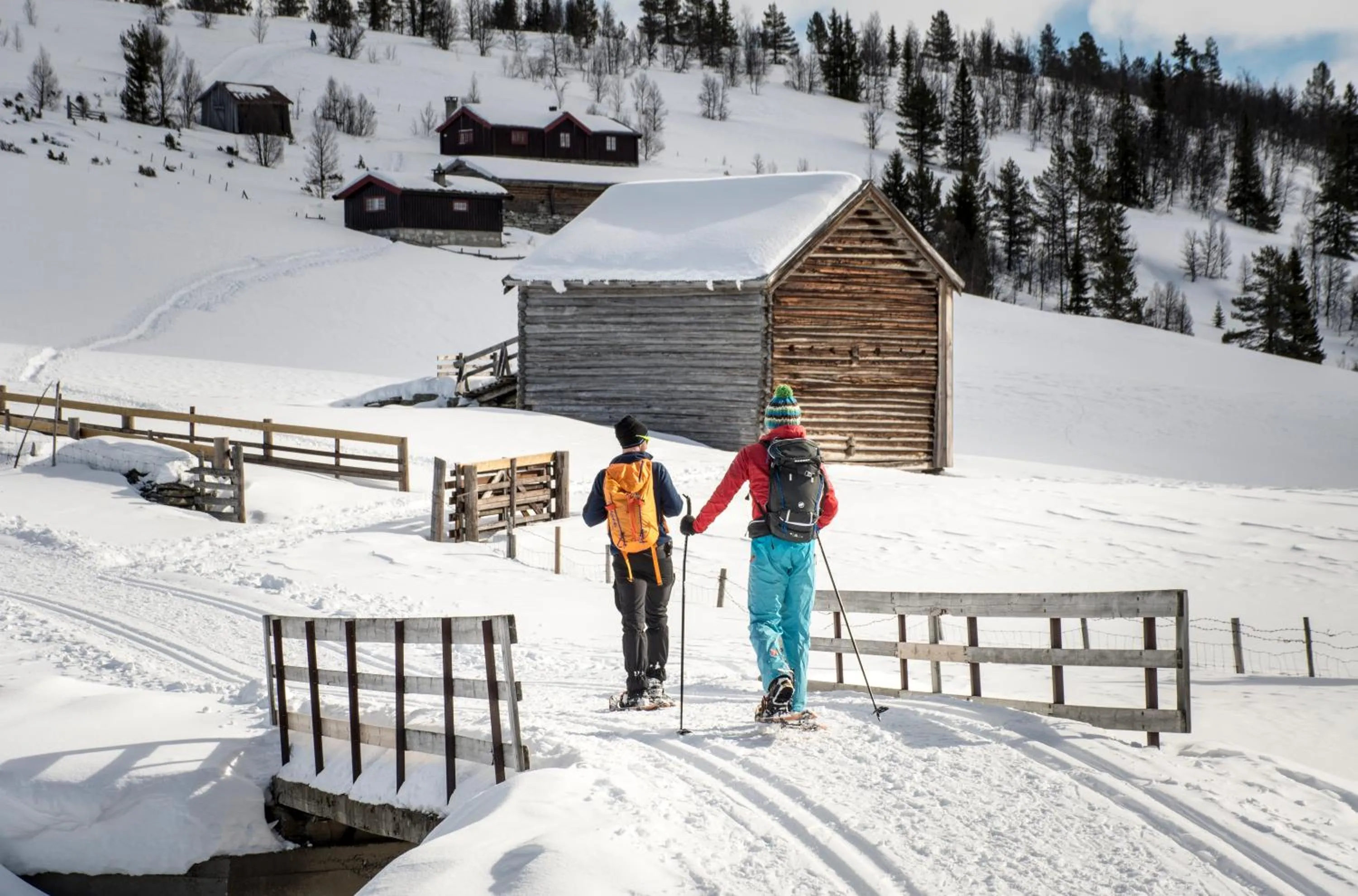 Natural landscape in Spidsbergseter Resort Rondane