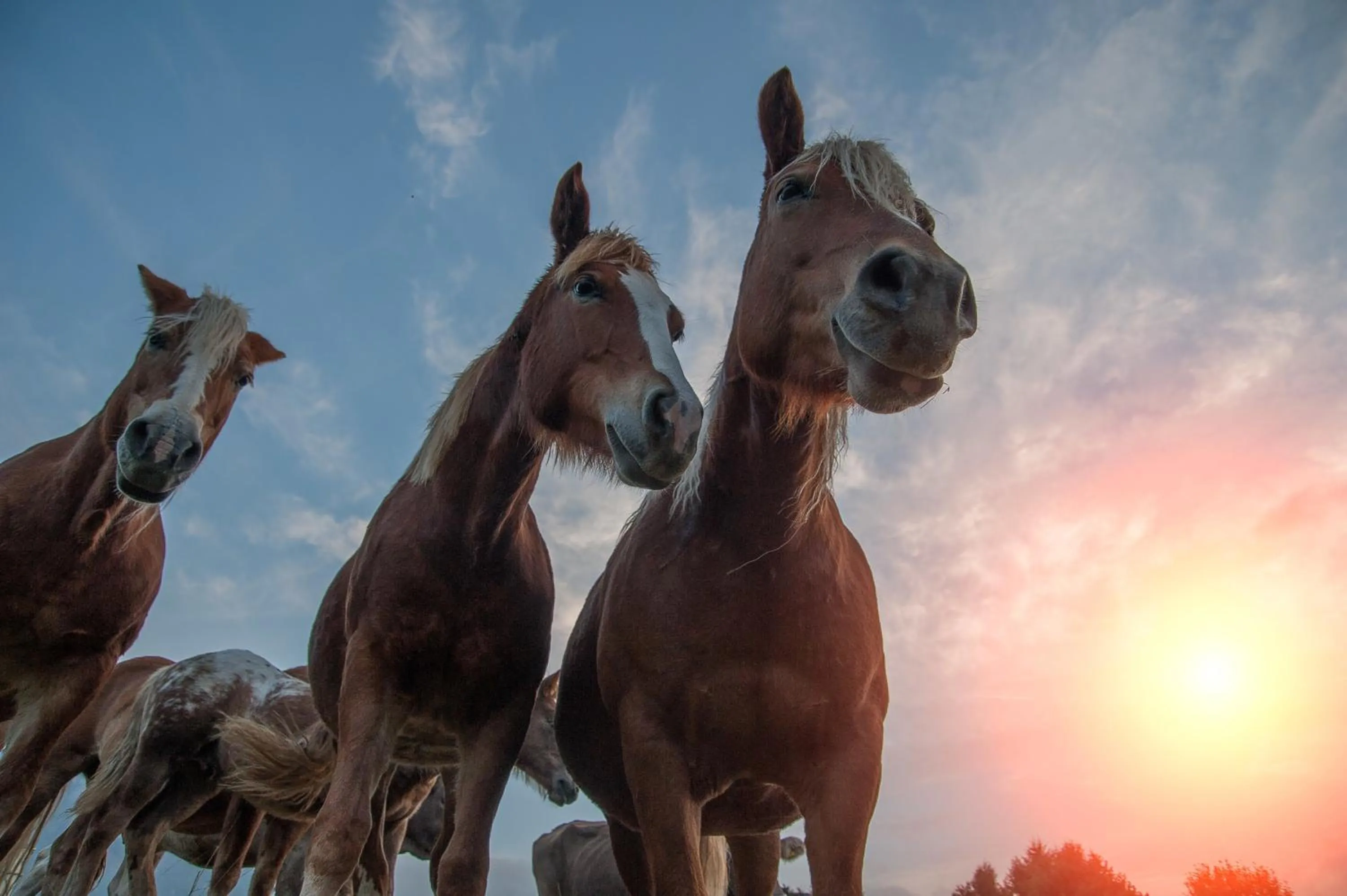 Summer in Spidsbergseter Resort Rondane