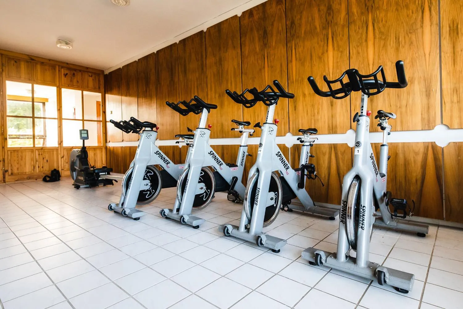 Fitness centre/facilities in Hotel Holiday Csopak