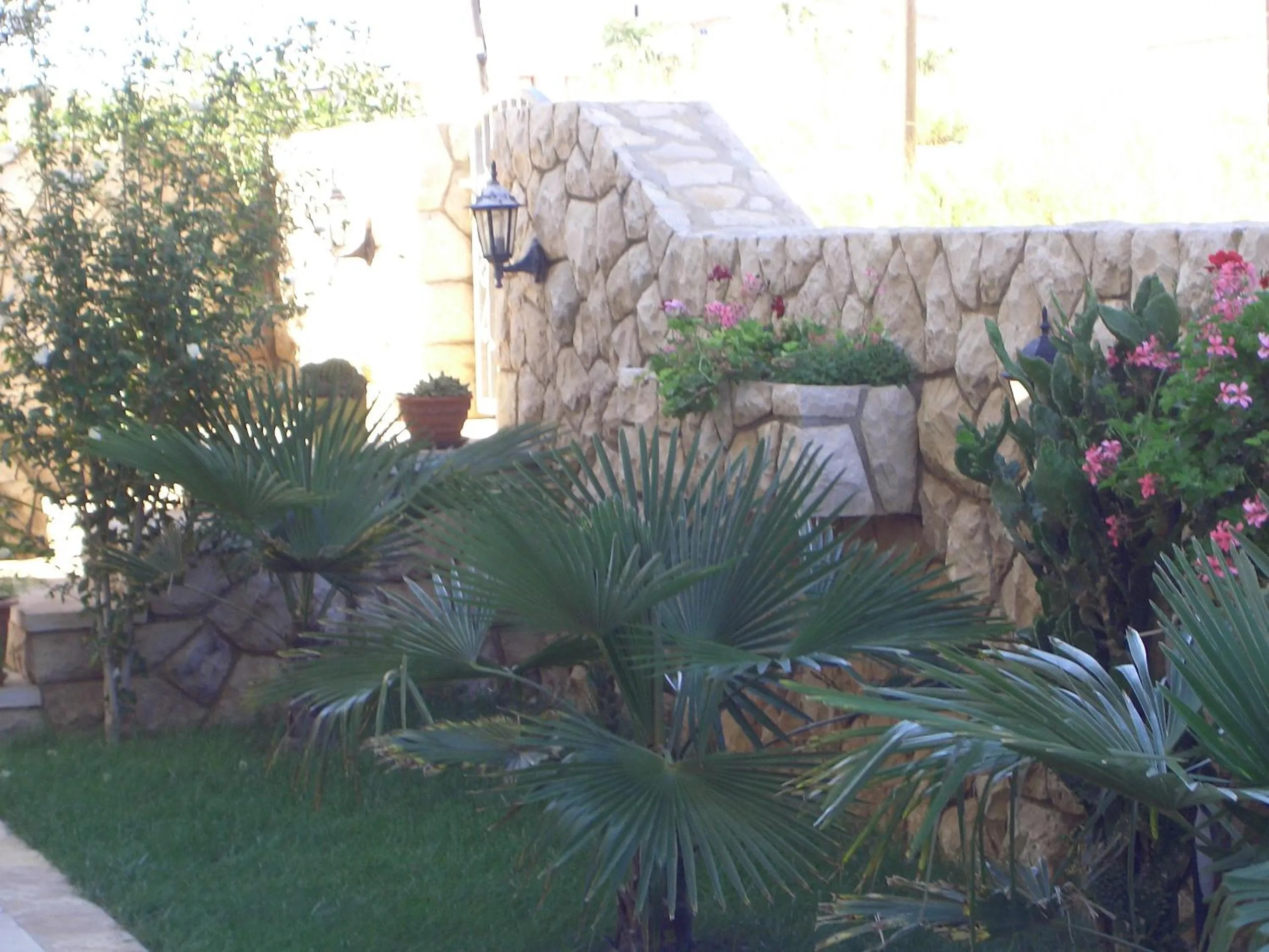Apartments Ana