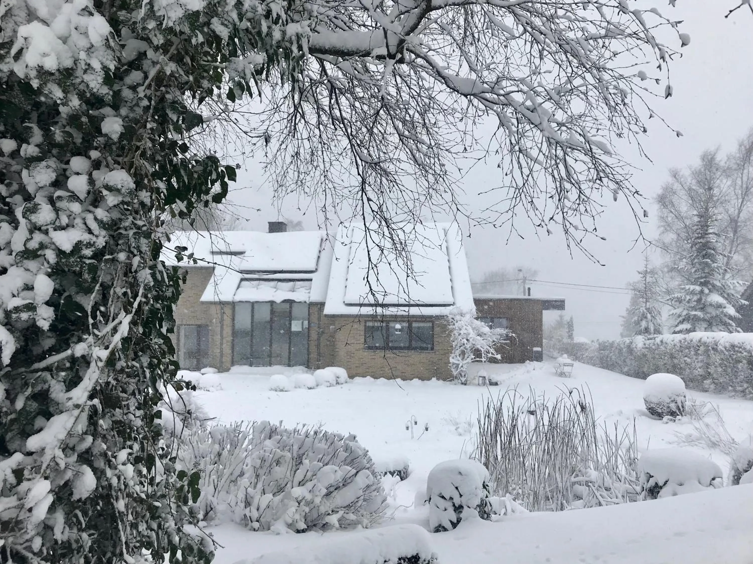 Garden view in "Un matin au jardin"