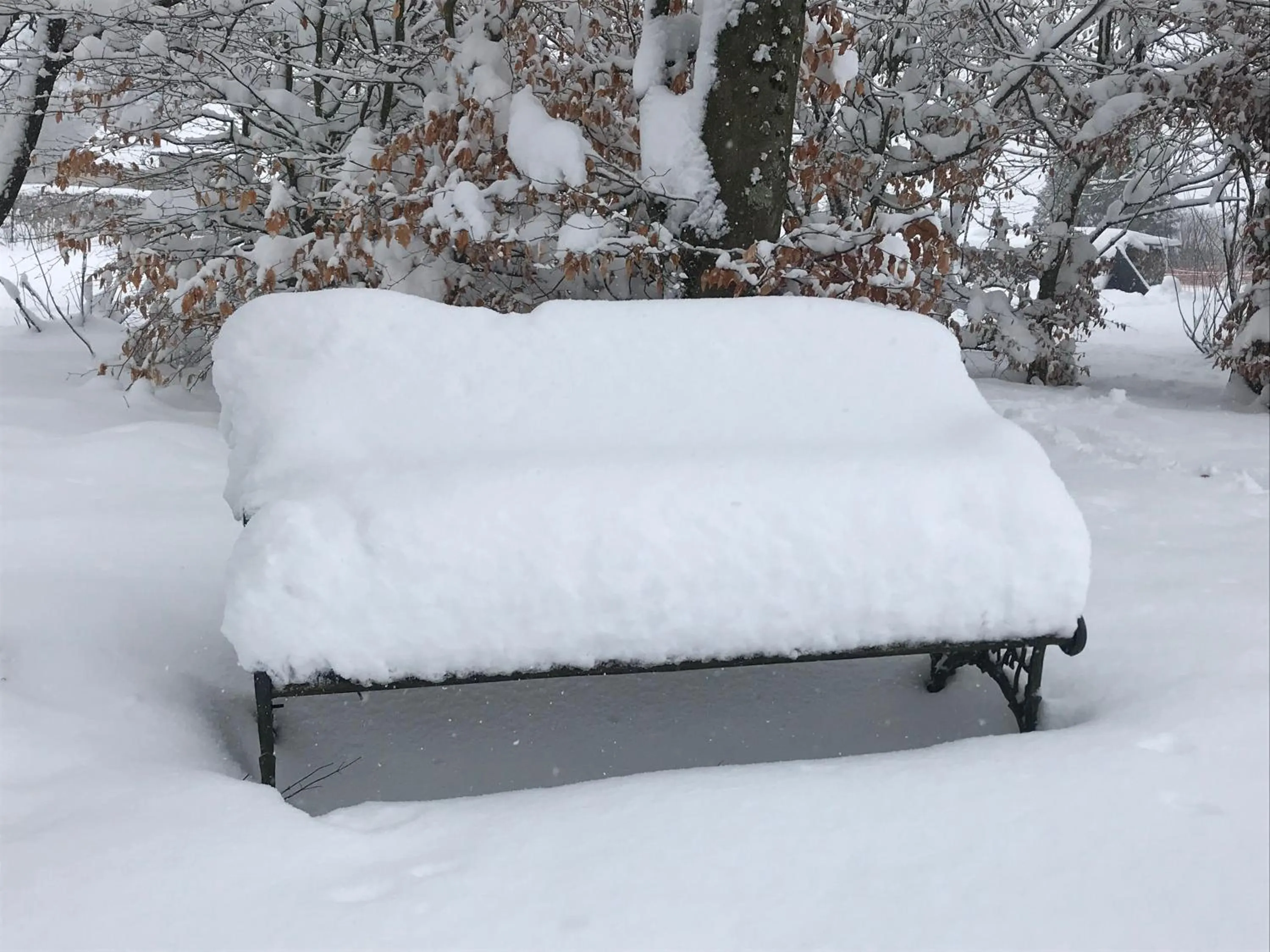 Property building in "Un matin au jardin"