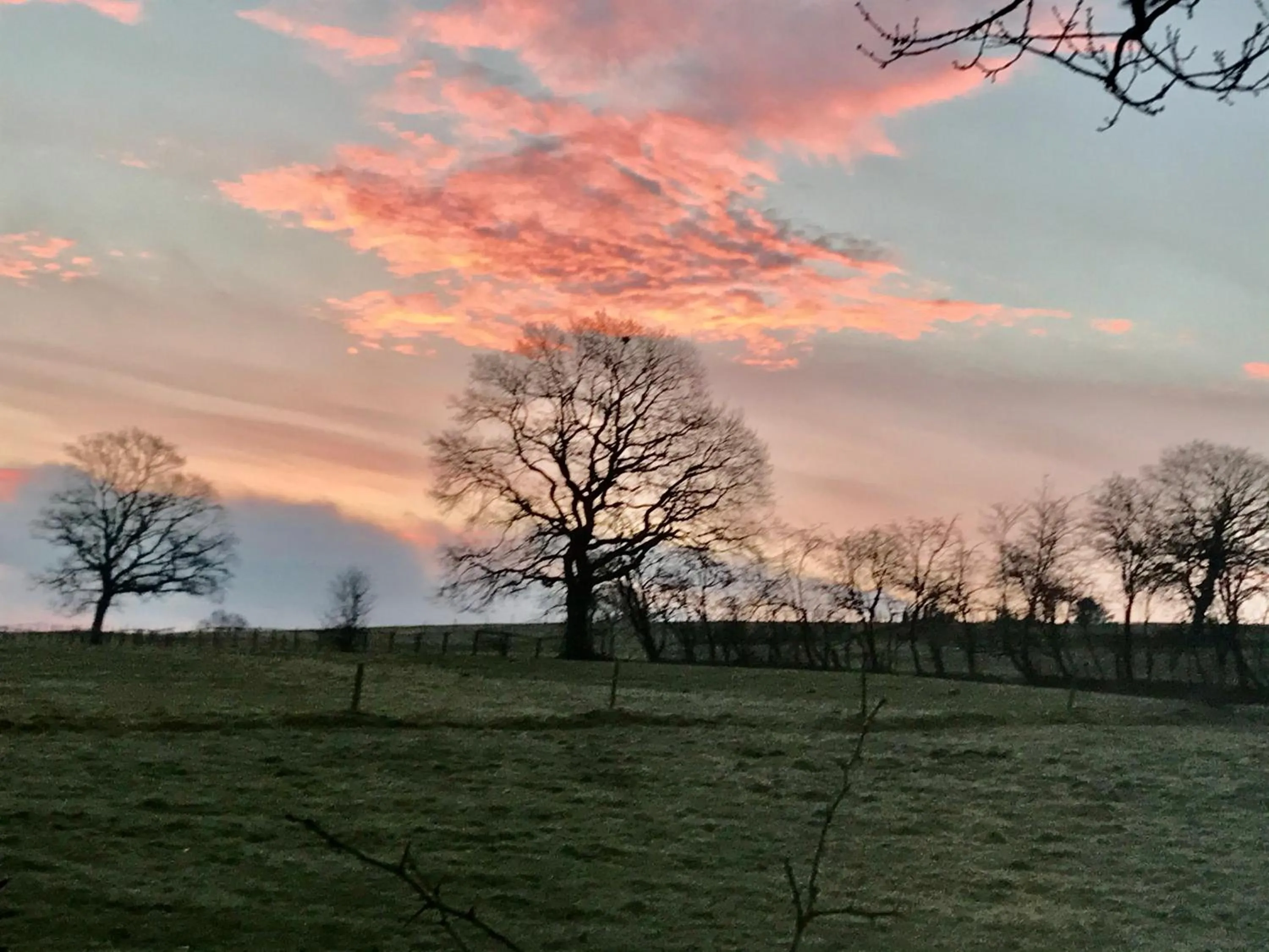 Natural landscape in "Un matin au jardin"