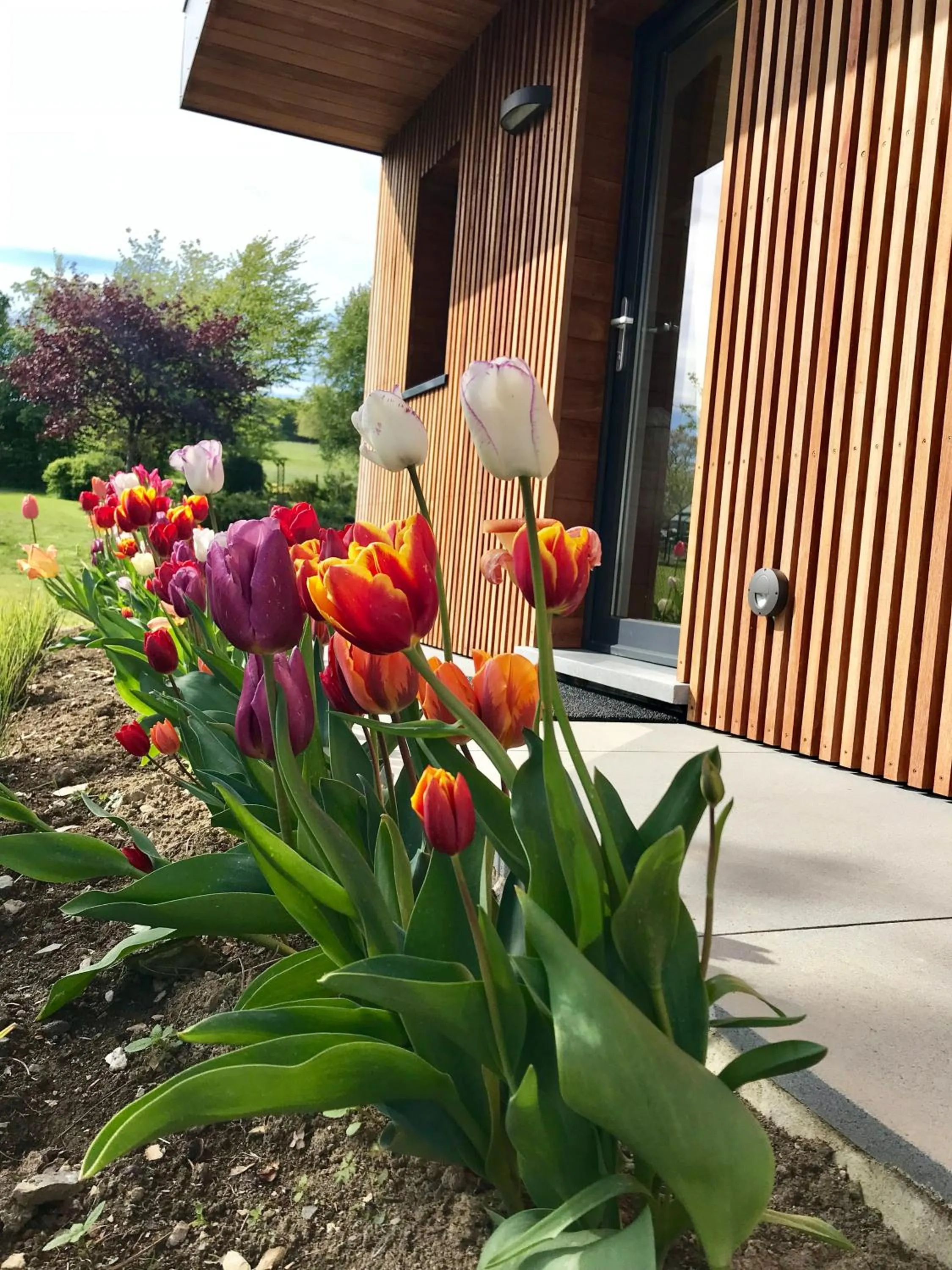 Garden in "Un matin au jardin"