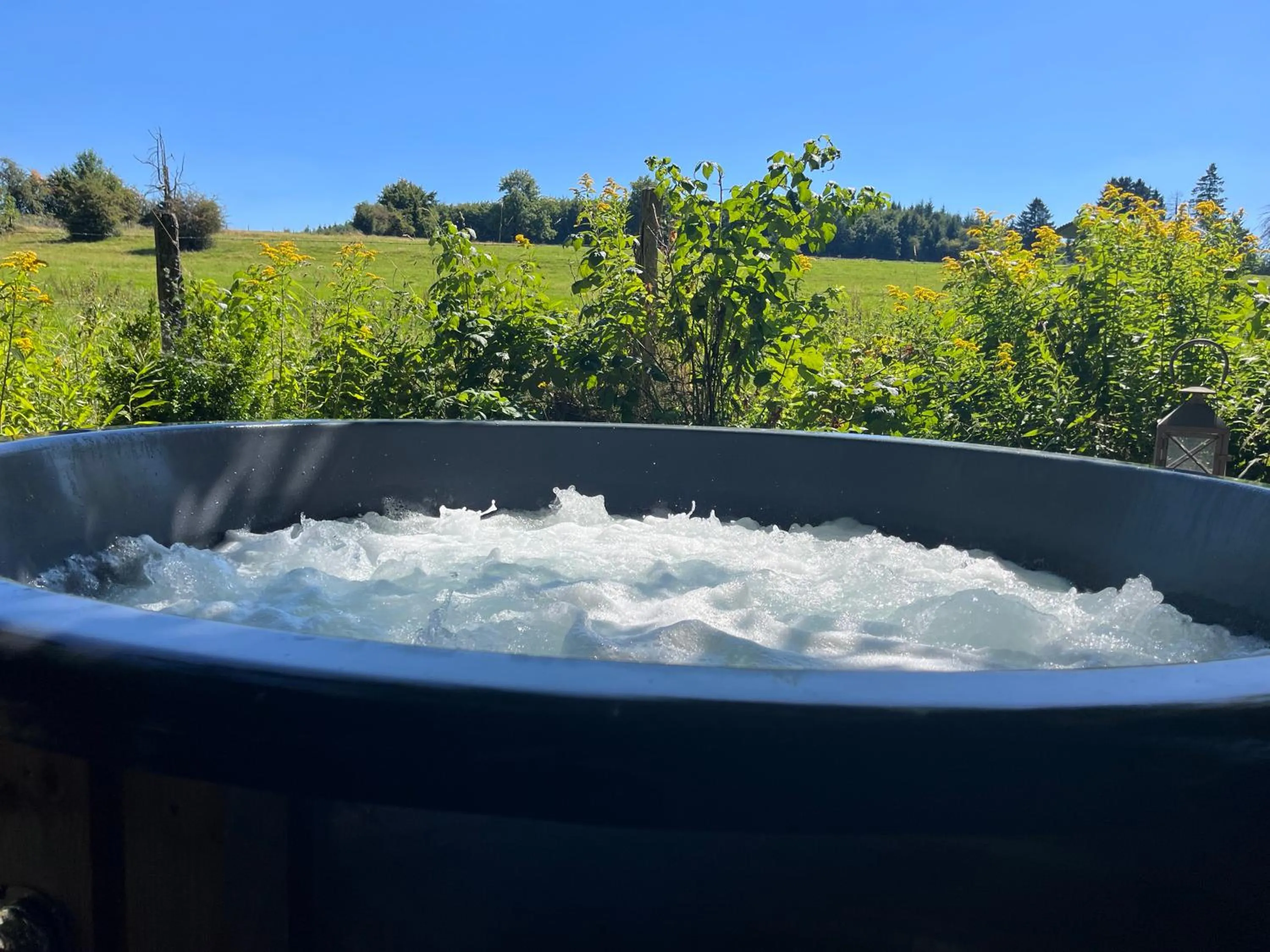 Day in "Un matin au jardin"