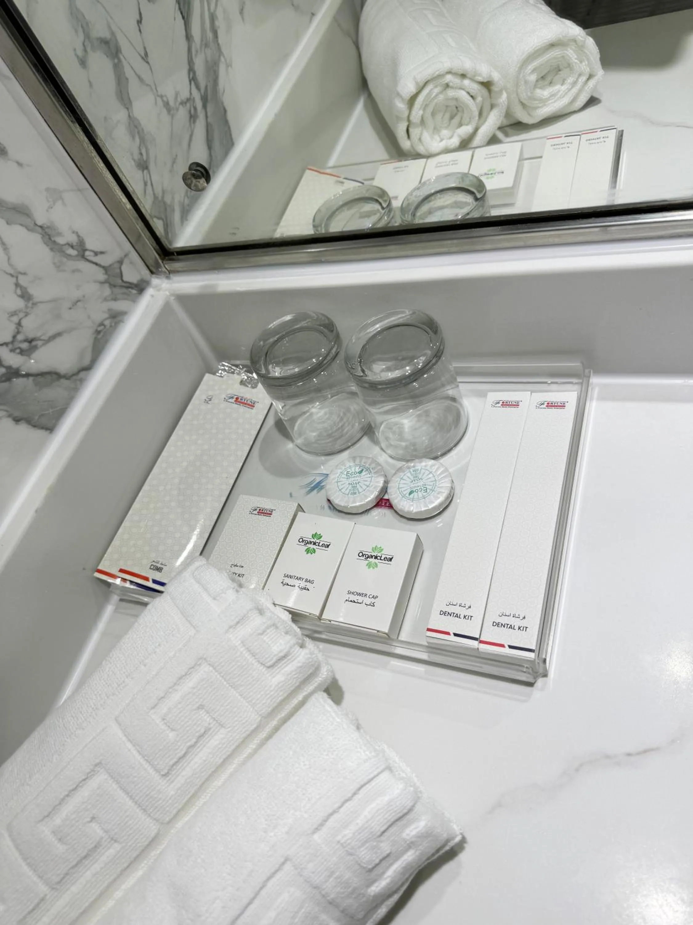 Bathroom in Fortune Plaza Hotel, Dubai Airport