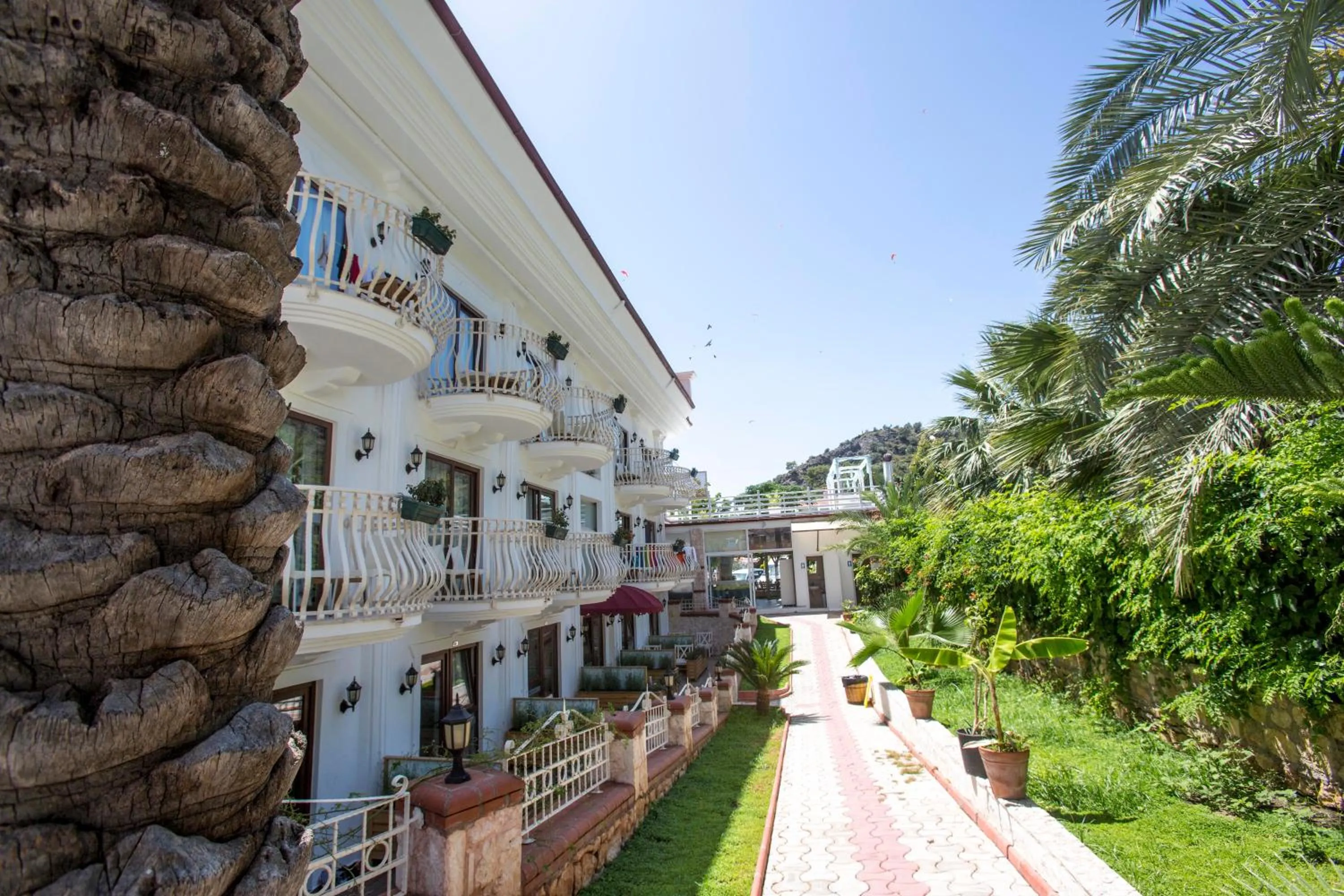 Garden in S3 Hotels Orange