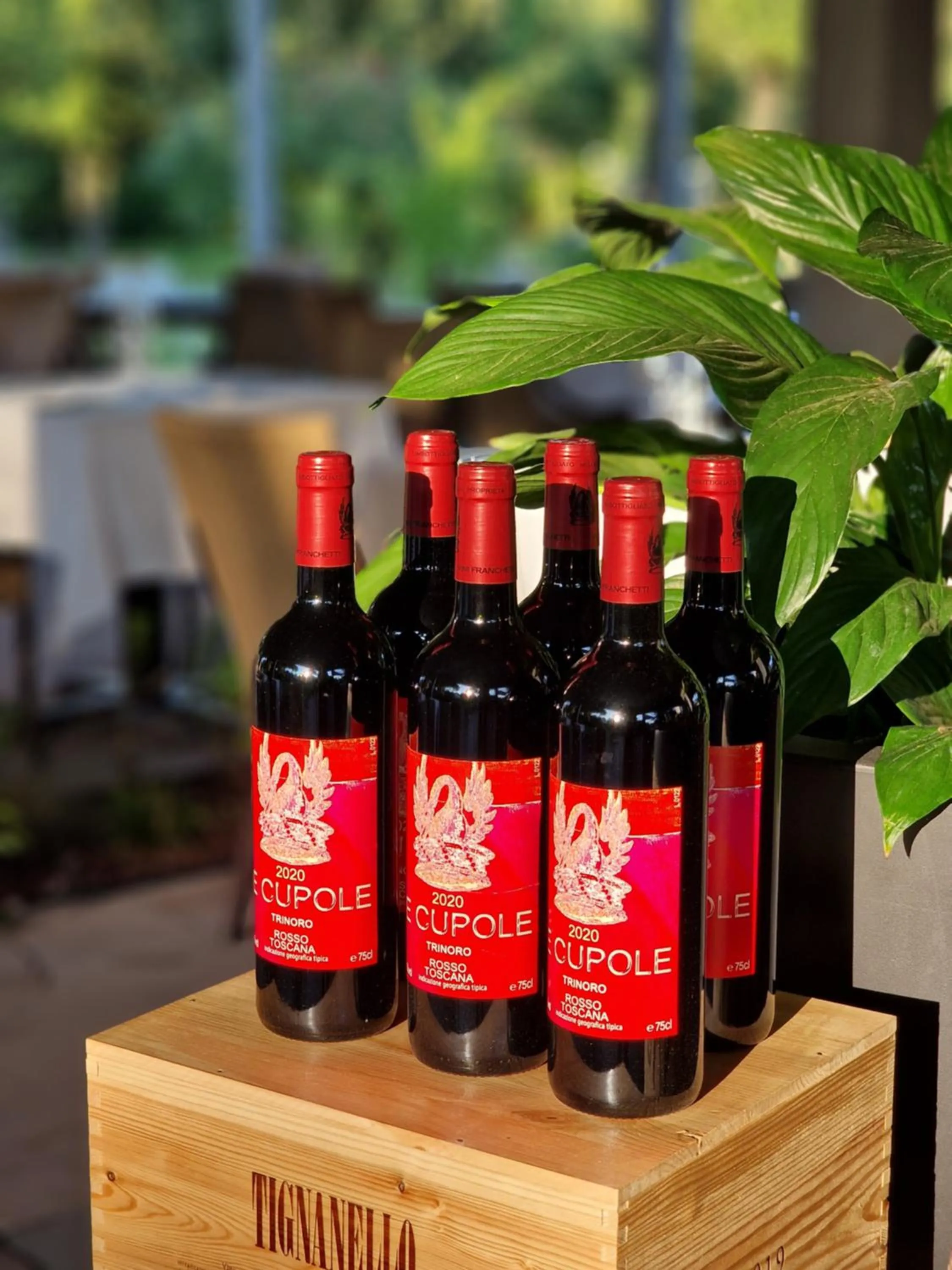 Dinner in Hotel Villa Elsa