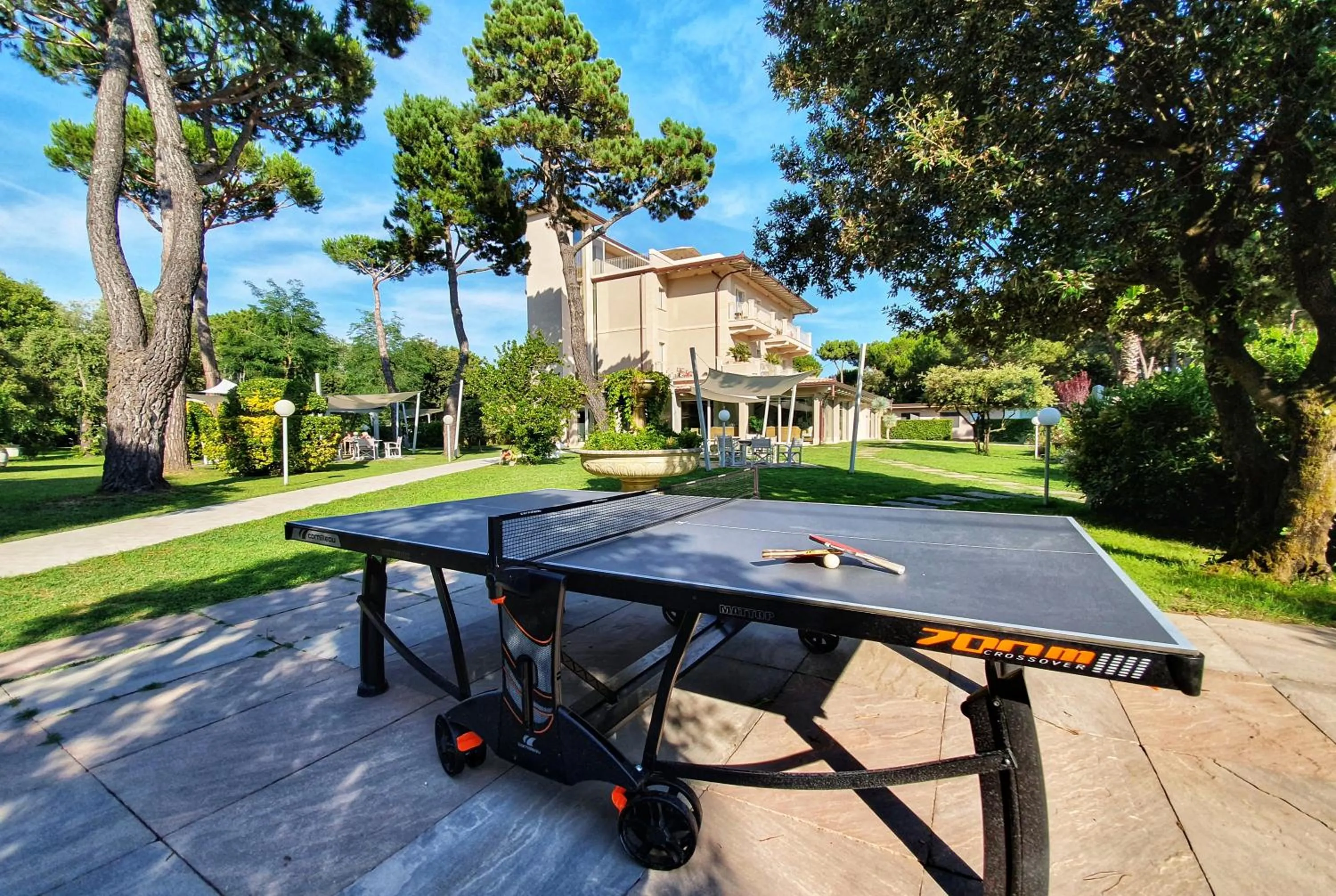 Garden in Hotel Villa Elsa