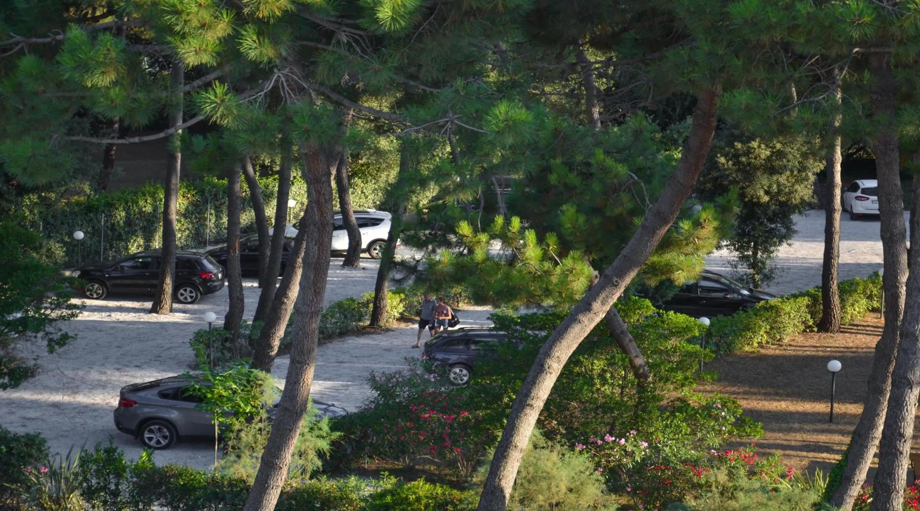 Garden view in Hotel Villa Elsa
