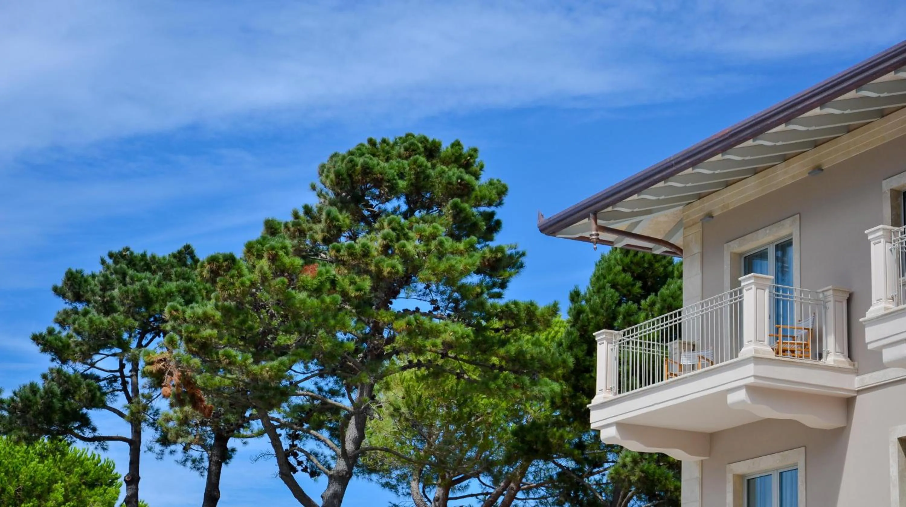 Balcony/Terrace in Hotel Villa Elsa