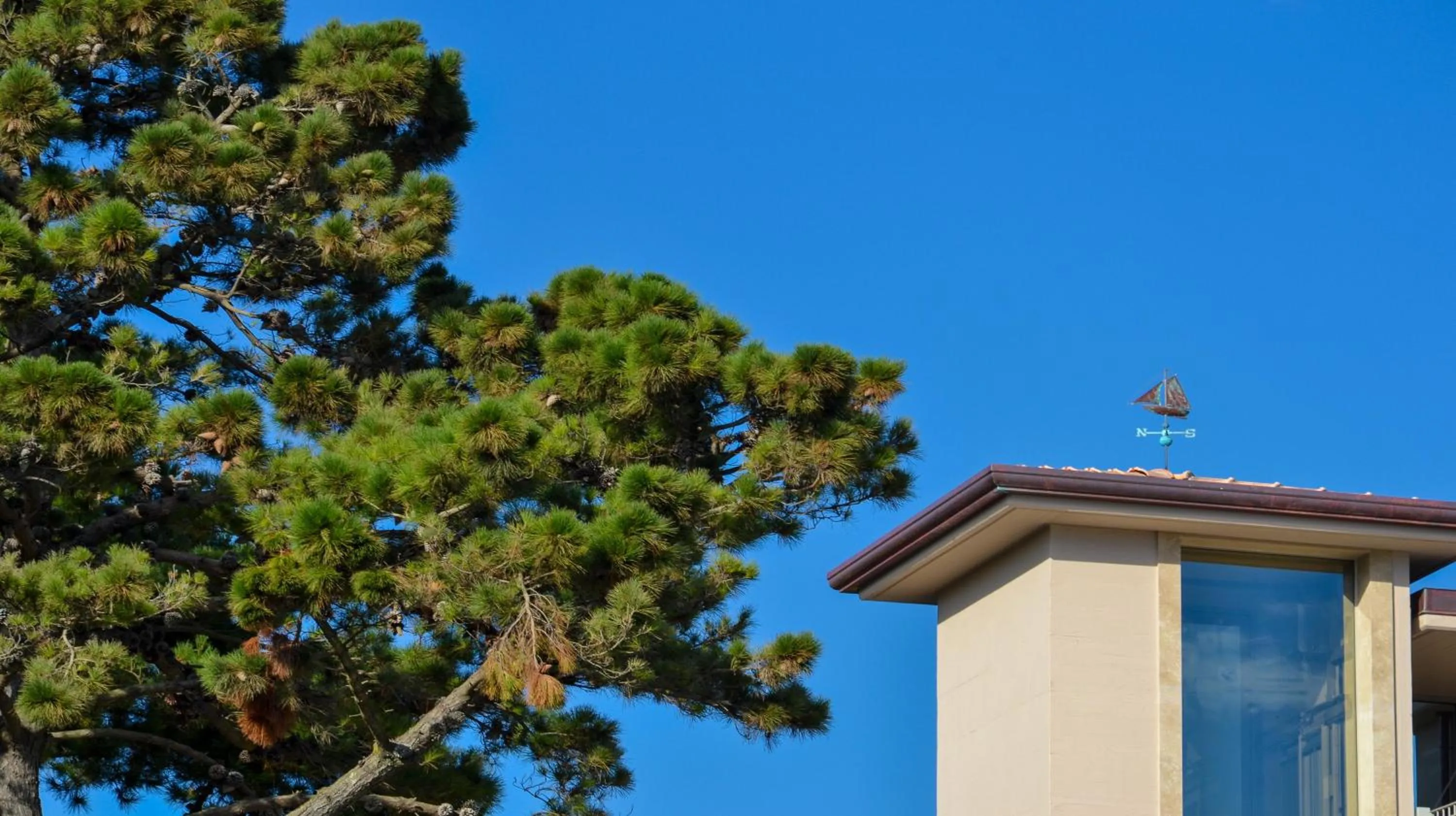 Facade/entrance in Hotel Villa Elsa