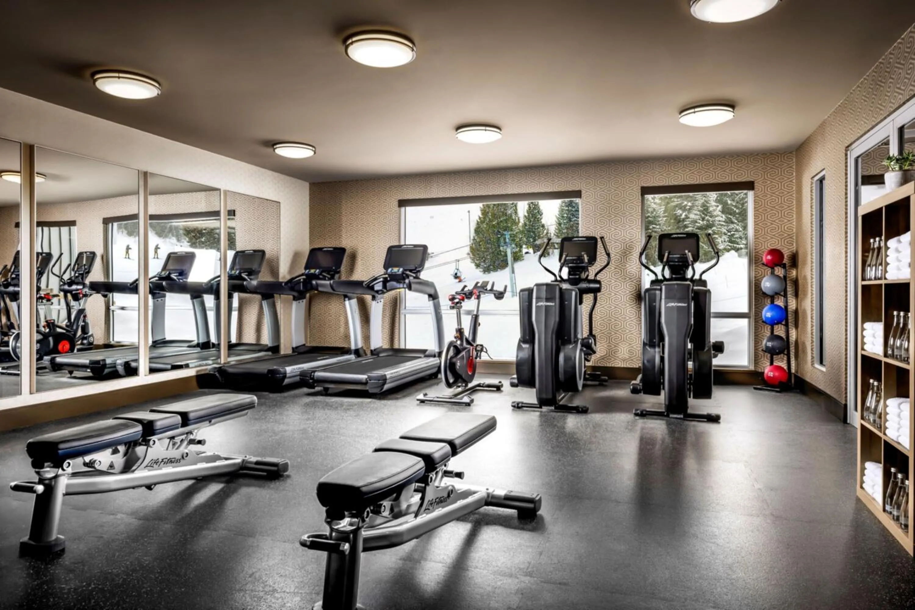 Fitness centre/facilities in The Josie Hotel, Autograph Collection