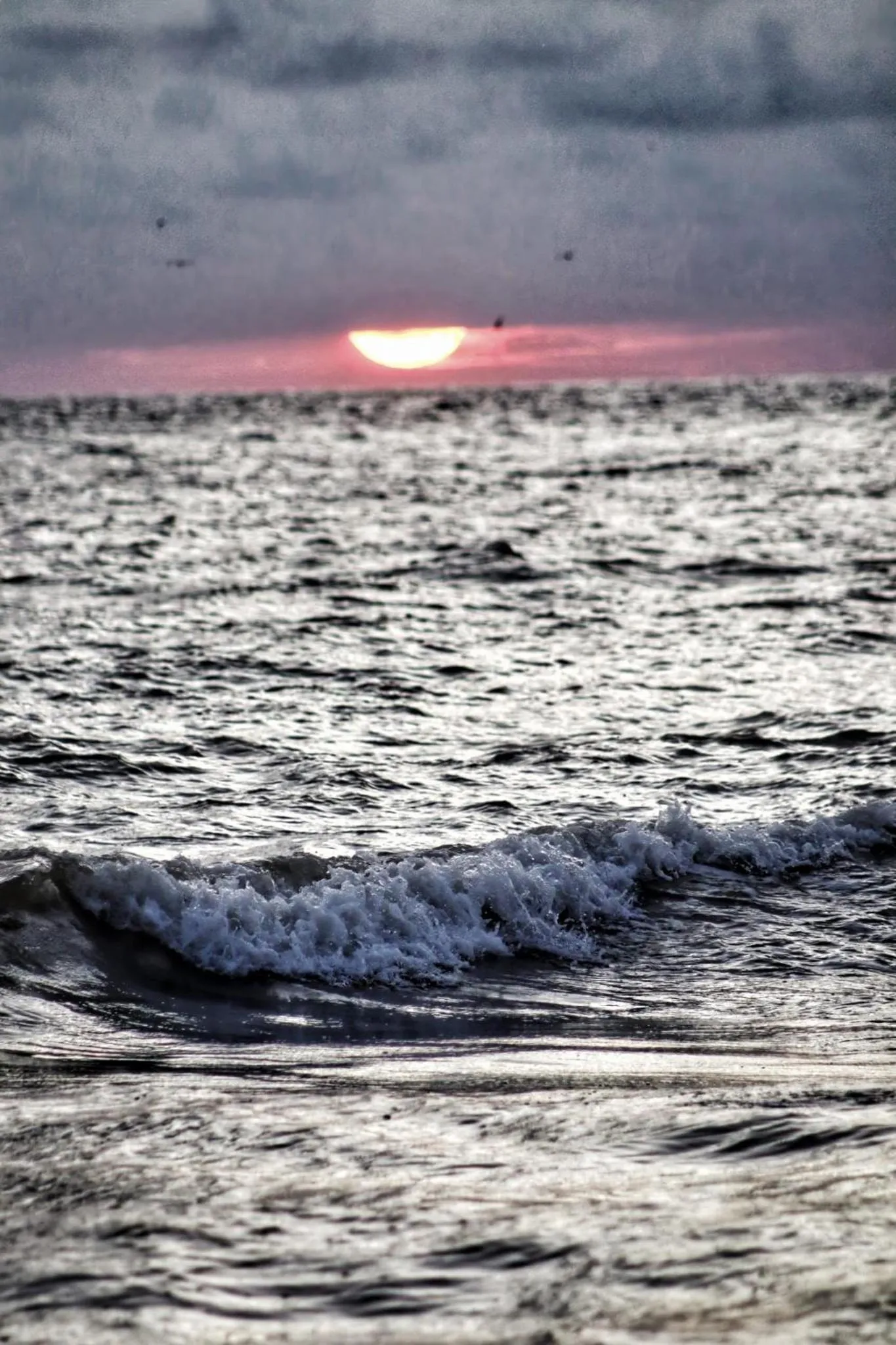Natural landscape in Villa Luketa