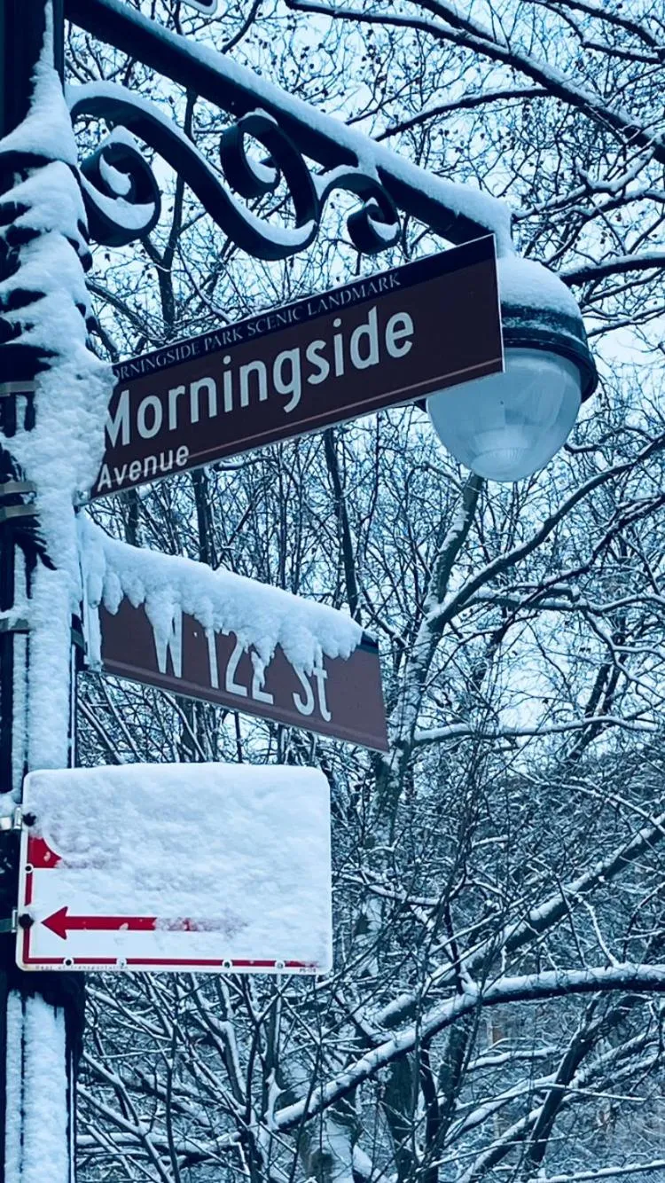 Winter in Harlem Grand