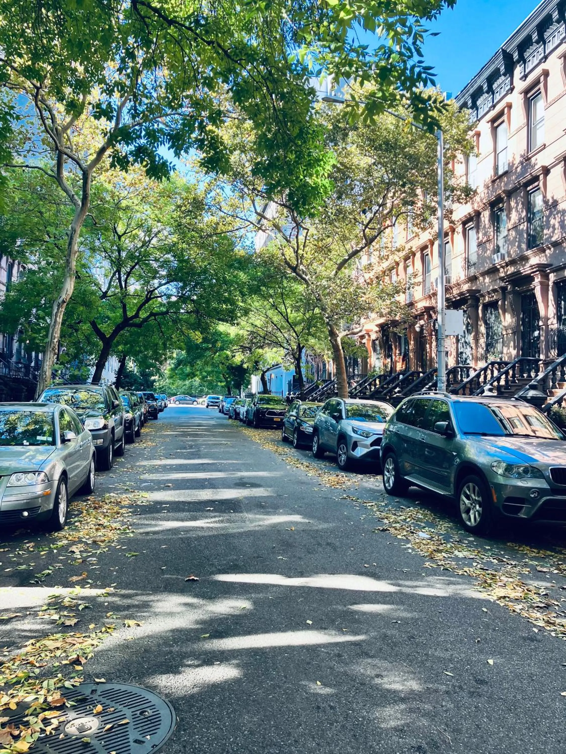 Neighbourhood in Harlem Grand