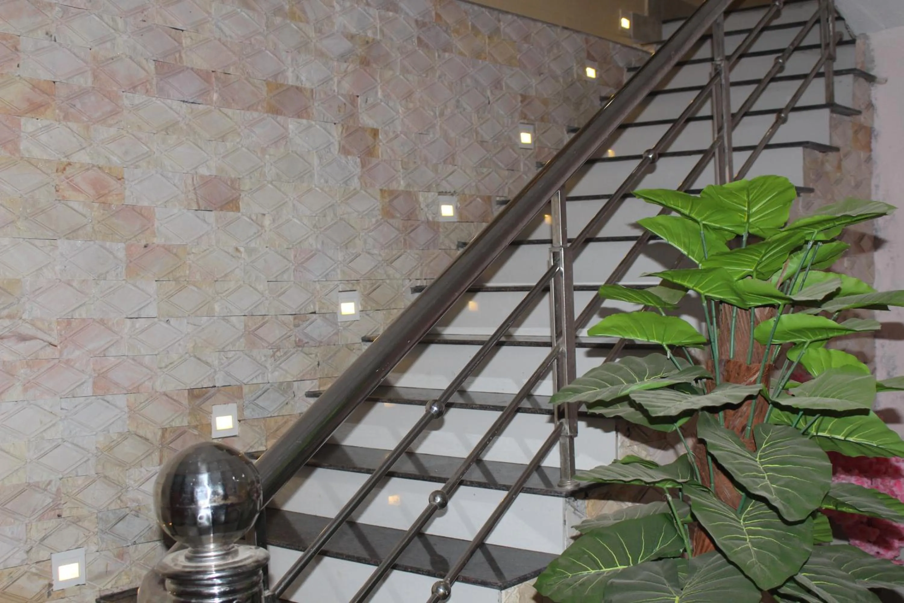 Nguyen Dang Guesthouse