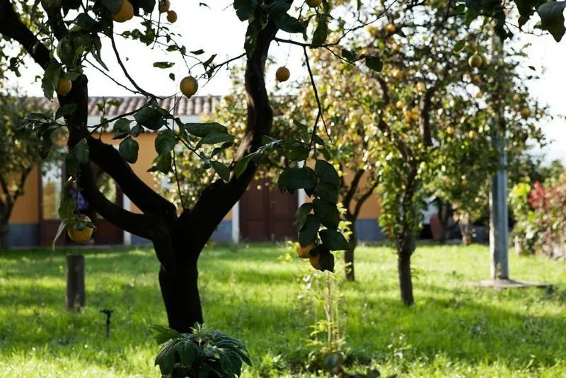 Garden in La Terra Del Mezzo