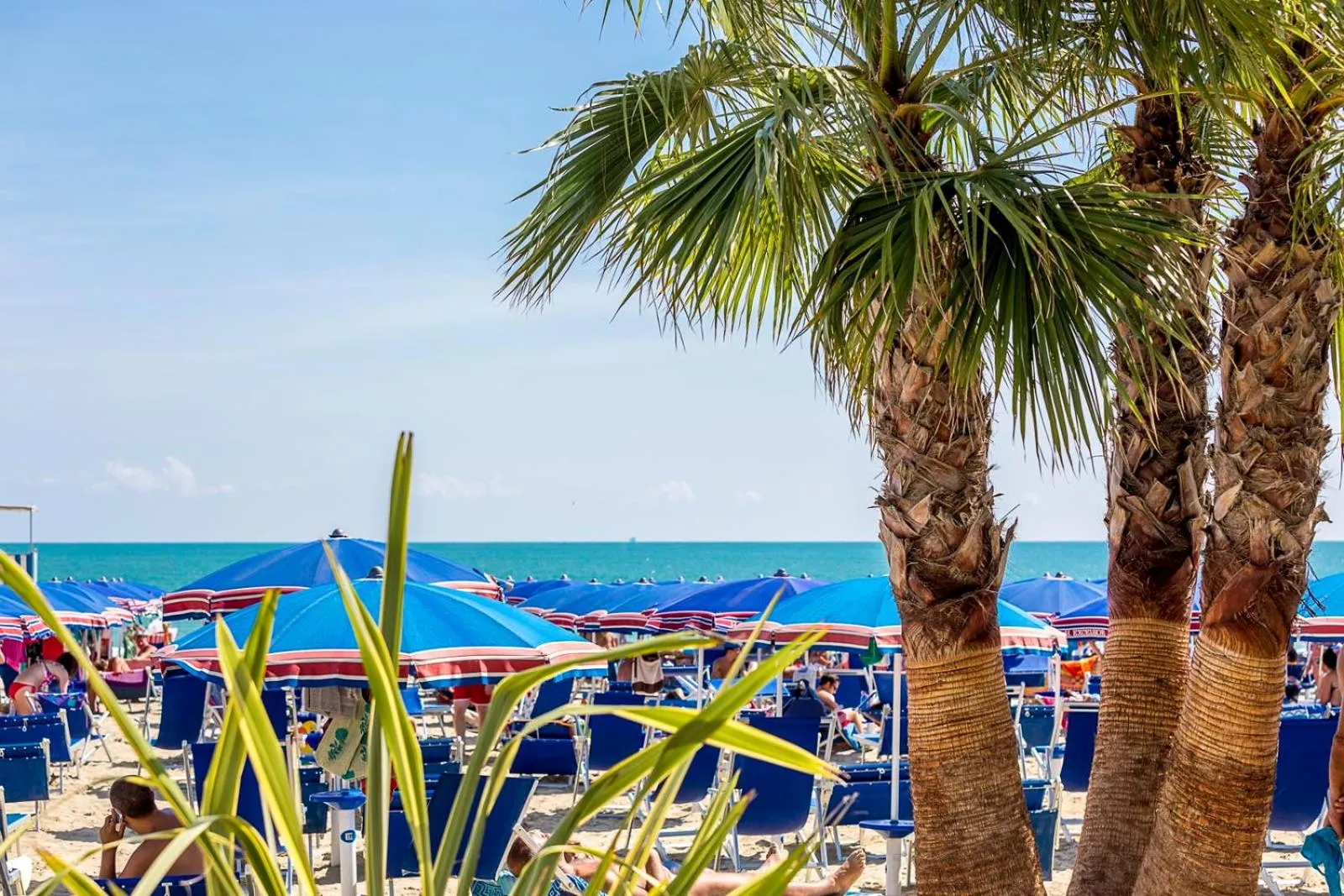 Beach in Hotel Excelsior