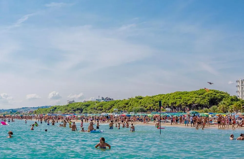Beach in Hotel Excelsior