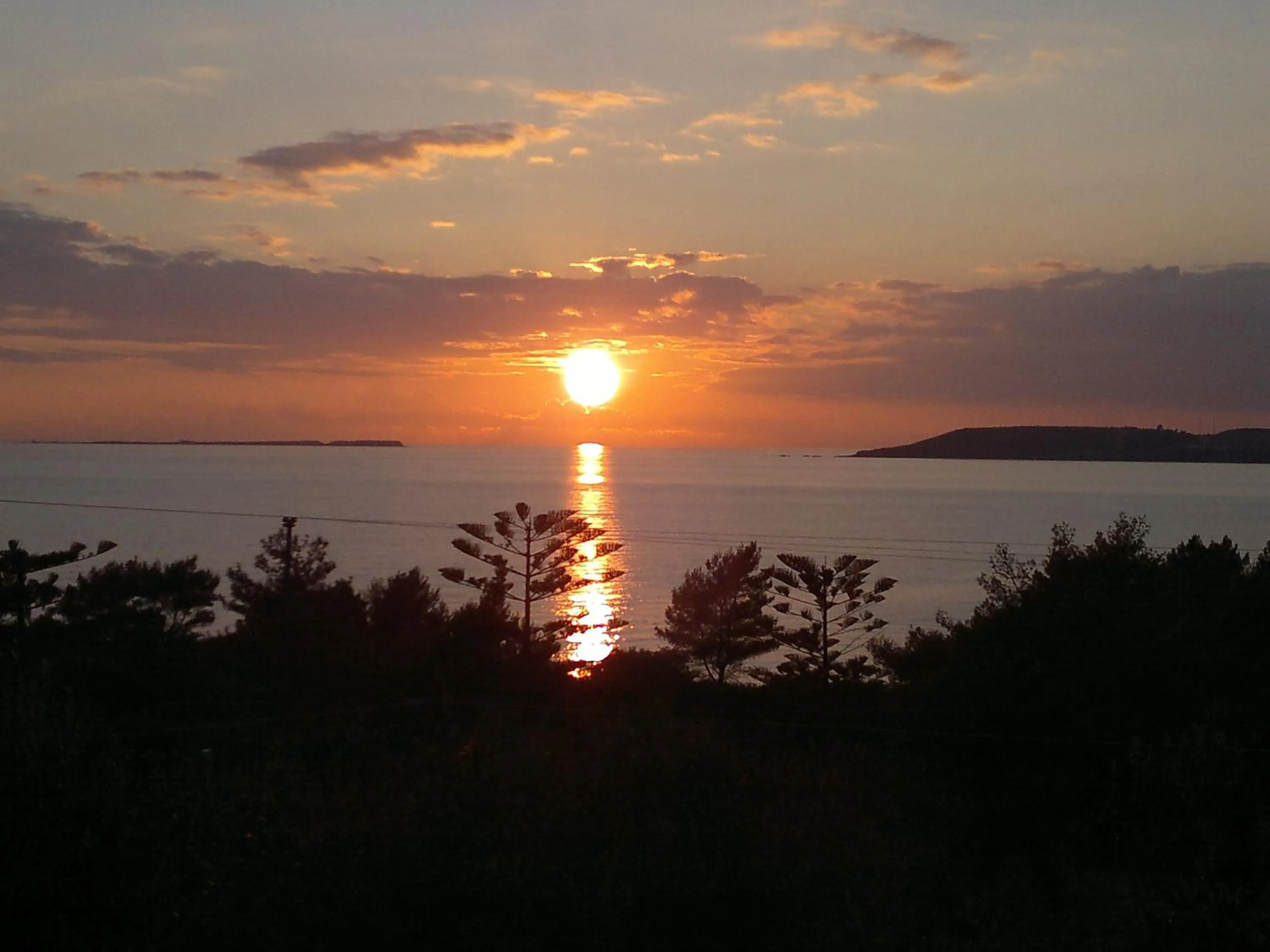 Sea view in Oskars Studios & Apartments