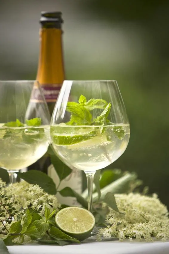 Drinks in Sporthotel Pechtl