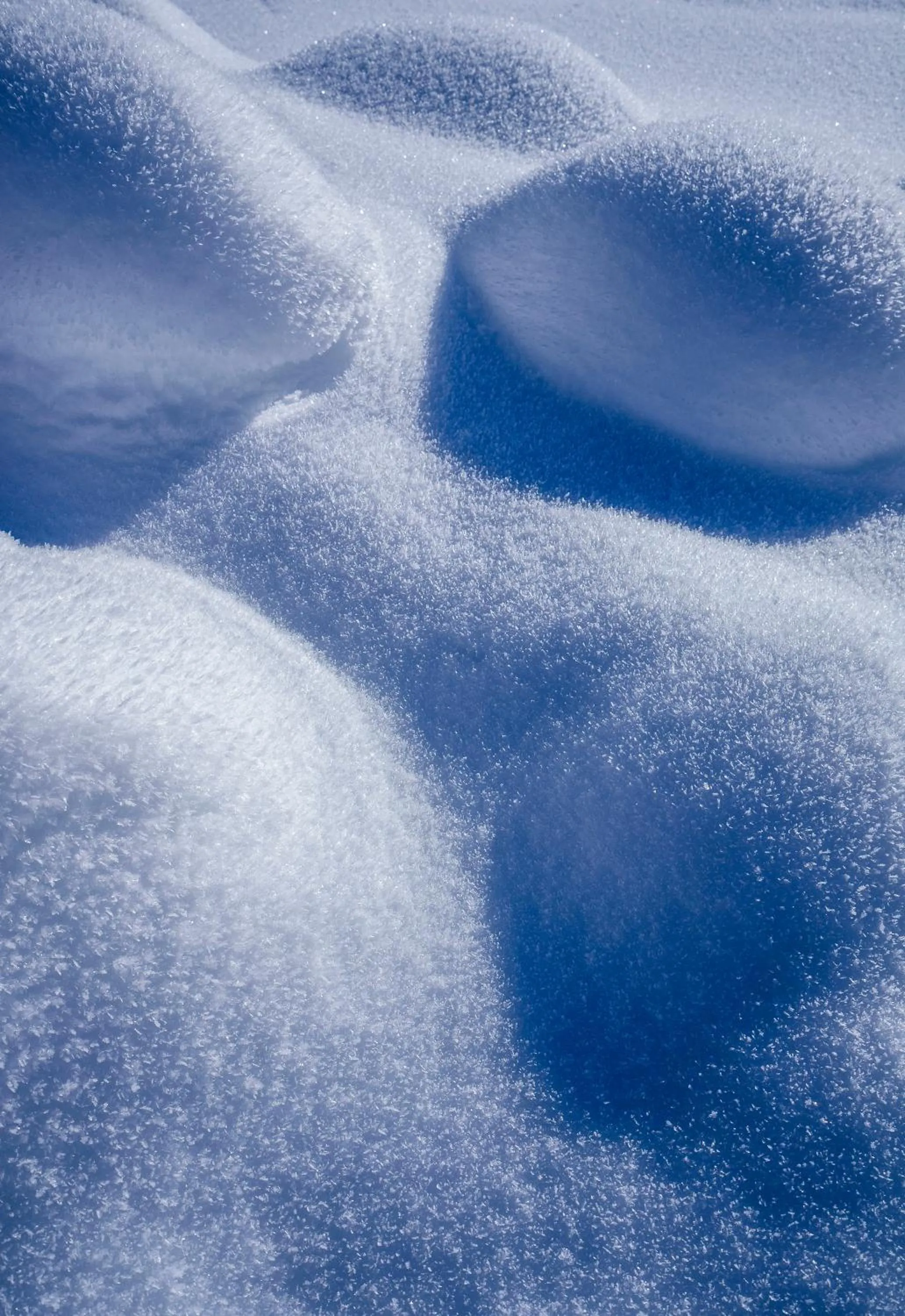 Natural landscape in Sporthotel Pechtl