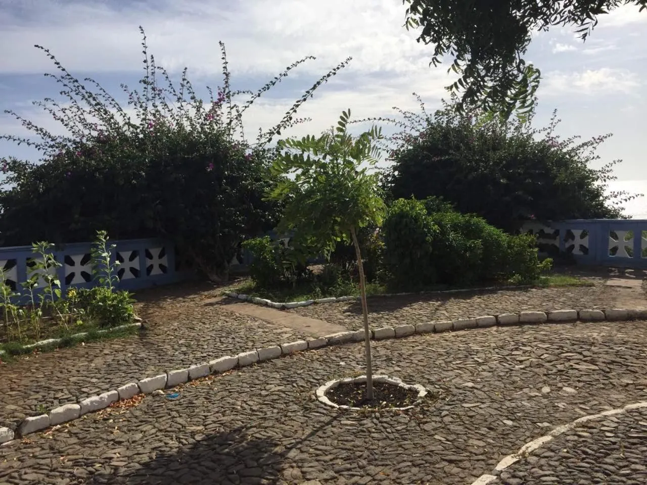 Neighbourhood in Hotel Savana