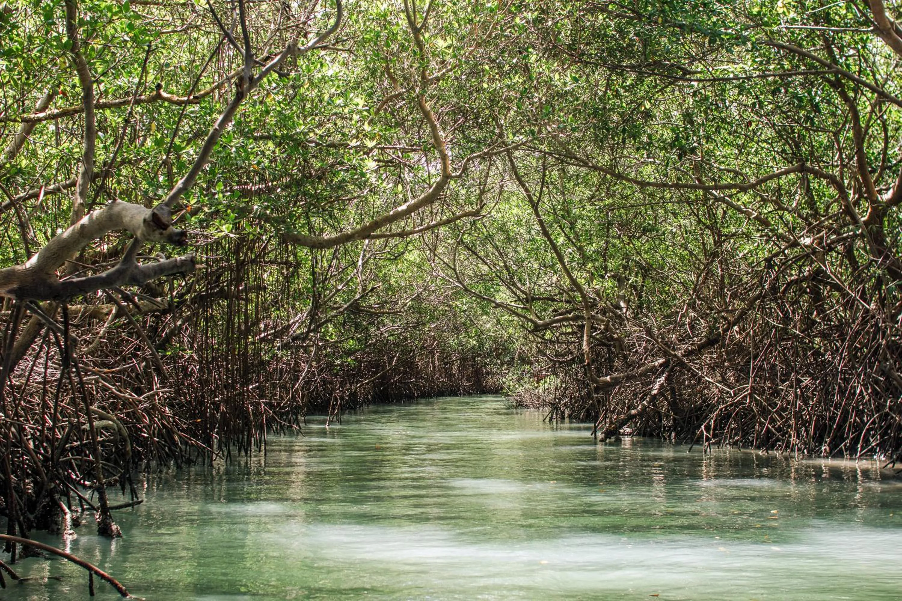 Nearby landmark in Canoé Brasil