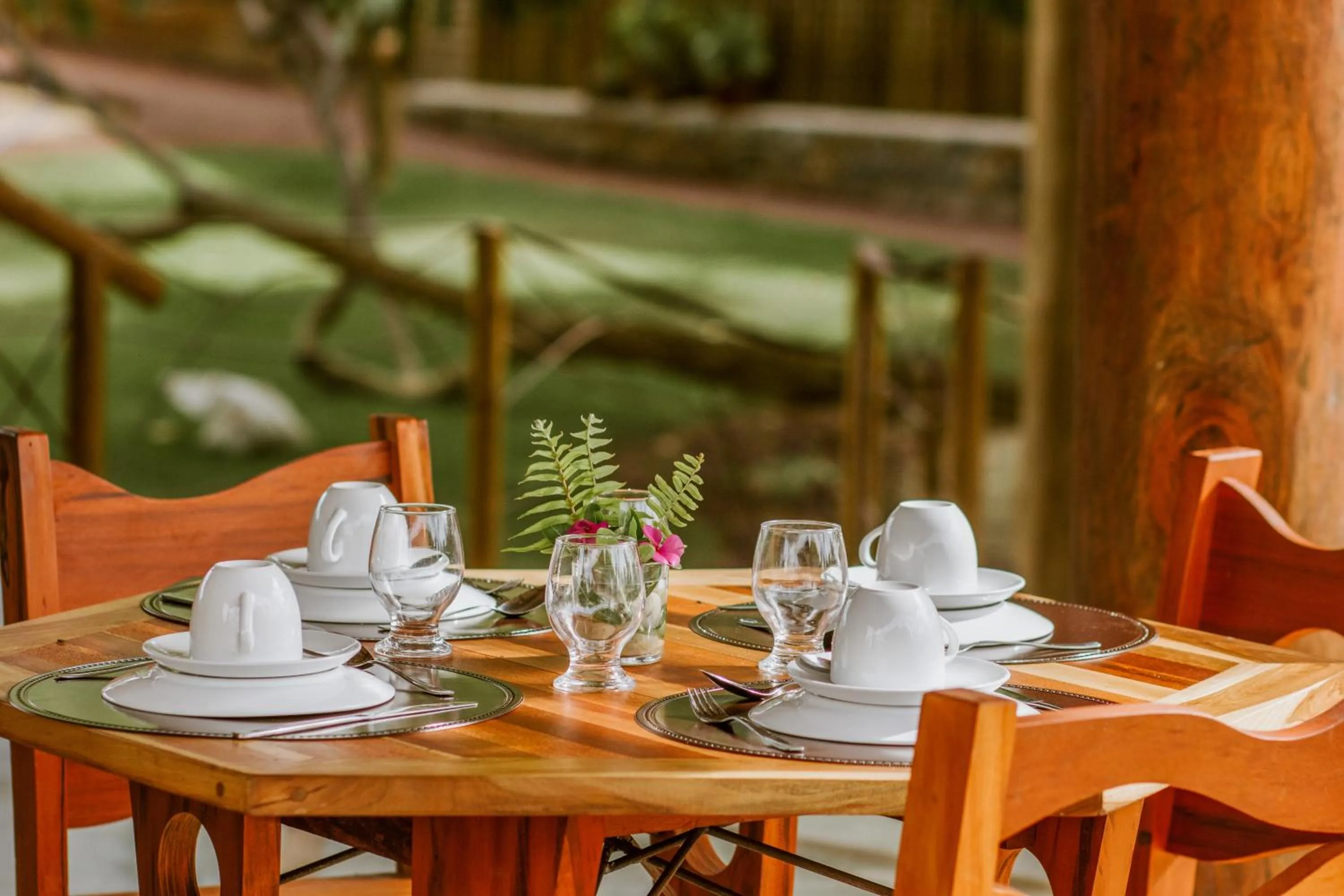 Buffet breakfast in Canoé Brasil