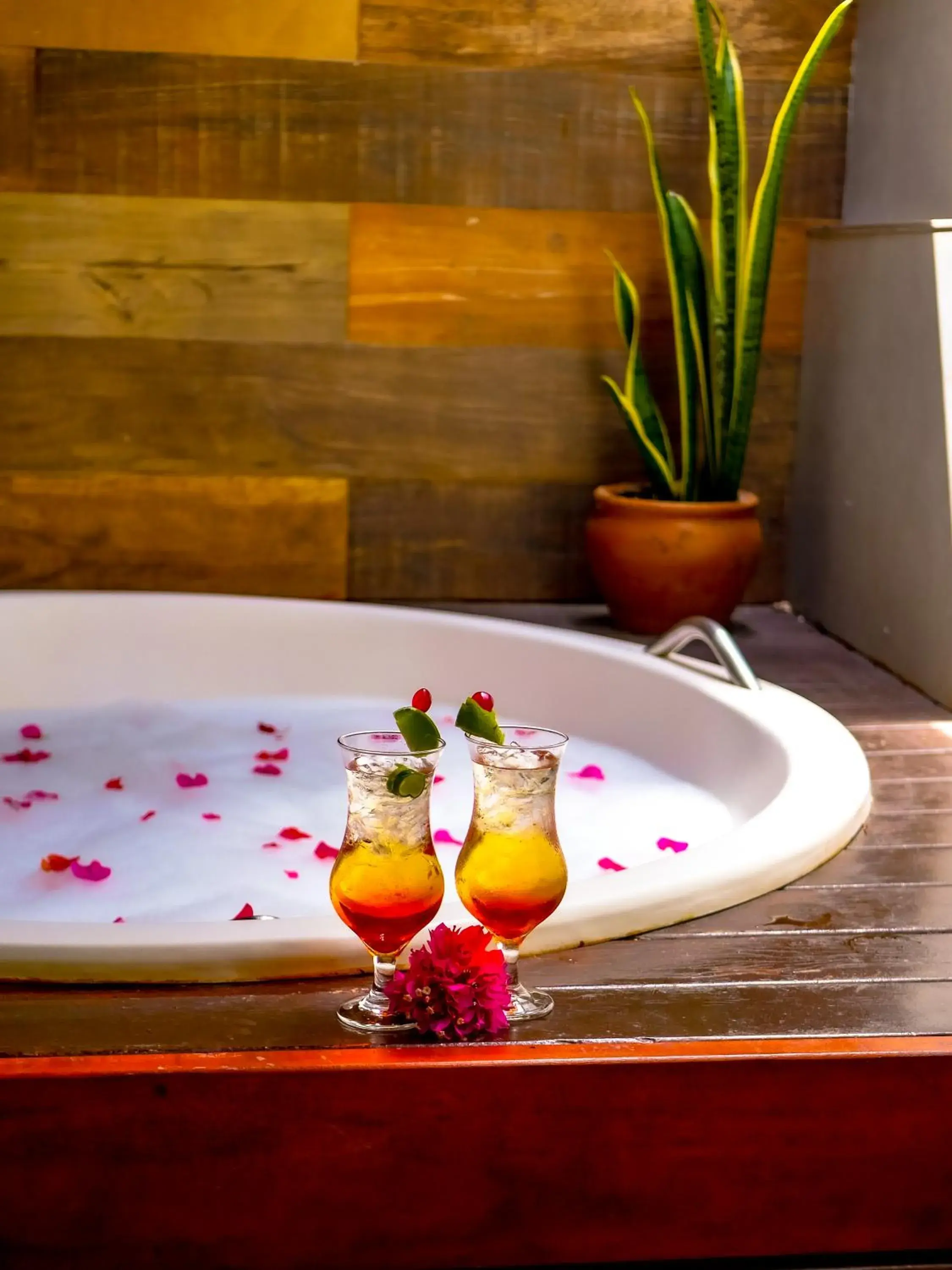 Queen Suite with Spa Bath in Canoé Brasil Queen Suite with Spa Bath in Canoé Brasil